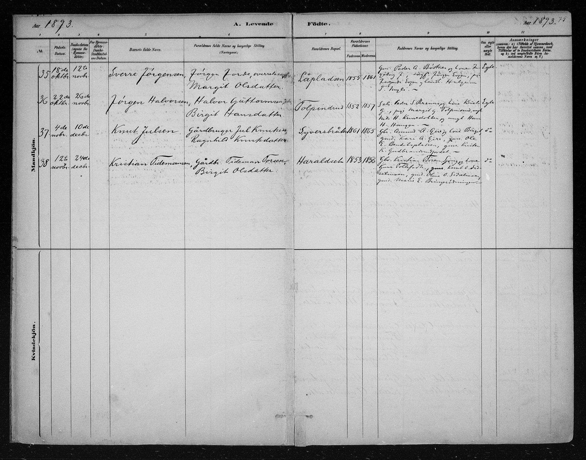 Nes kirkebøker, AV/SAKO-A-236/F/Fa/L0011: Parish register (official) no. 11, 1881-1912, p. 75