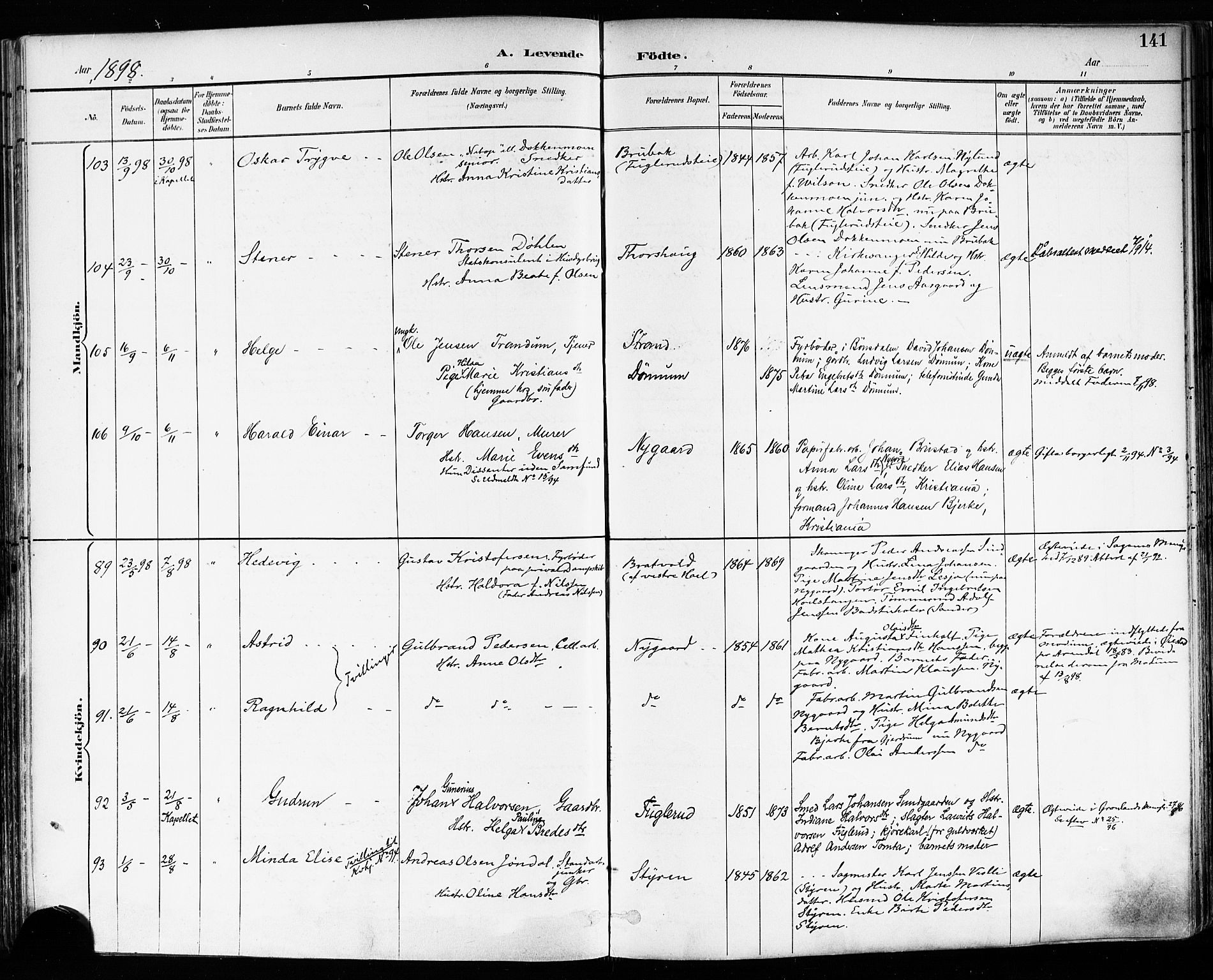 Eidsvoll prestekontor Kirkebøker, SAO/A-10888/F/Fa/L0004: Parish register (official) no. I 4, 1891-1900, p. 141