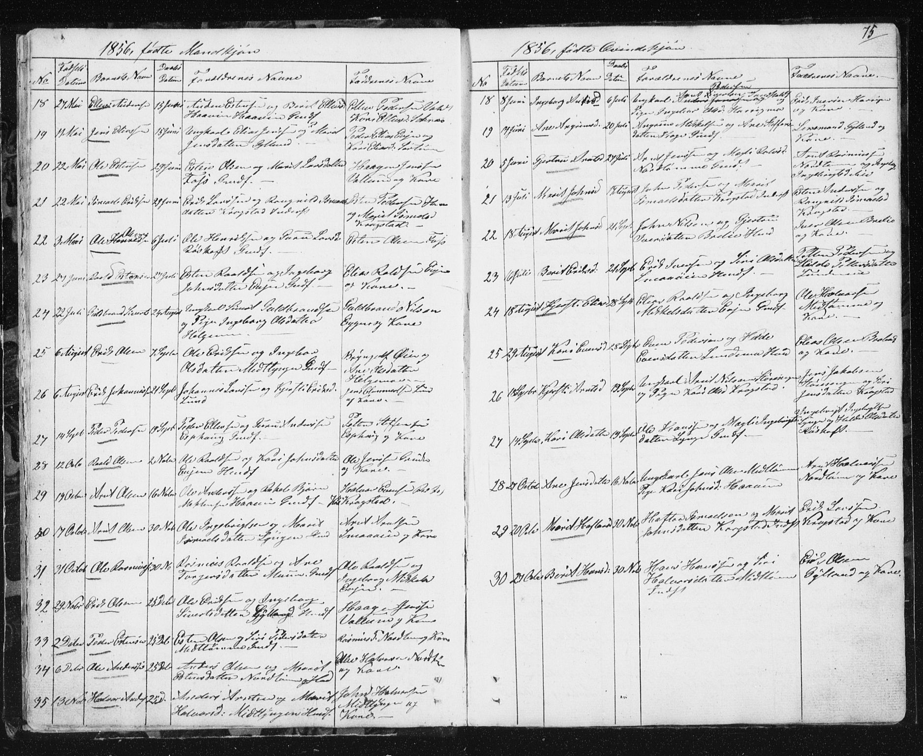Ministerialprotokoller, klokkerbøker og fødselsregistre - Sør-Trøndelag, SAT/A-1456/692/L1110: Parish register (copy) no. 692C05, 1849-1889, p. 75