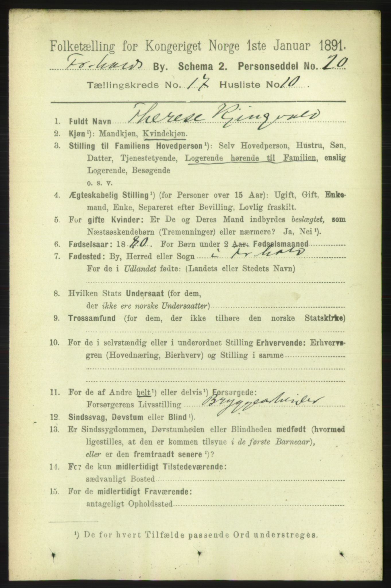 RA, 1891 census for 0101 Fredrikshald, 1891, p. 11015