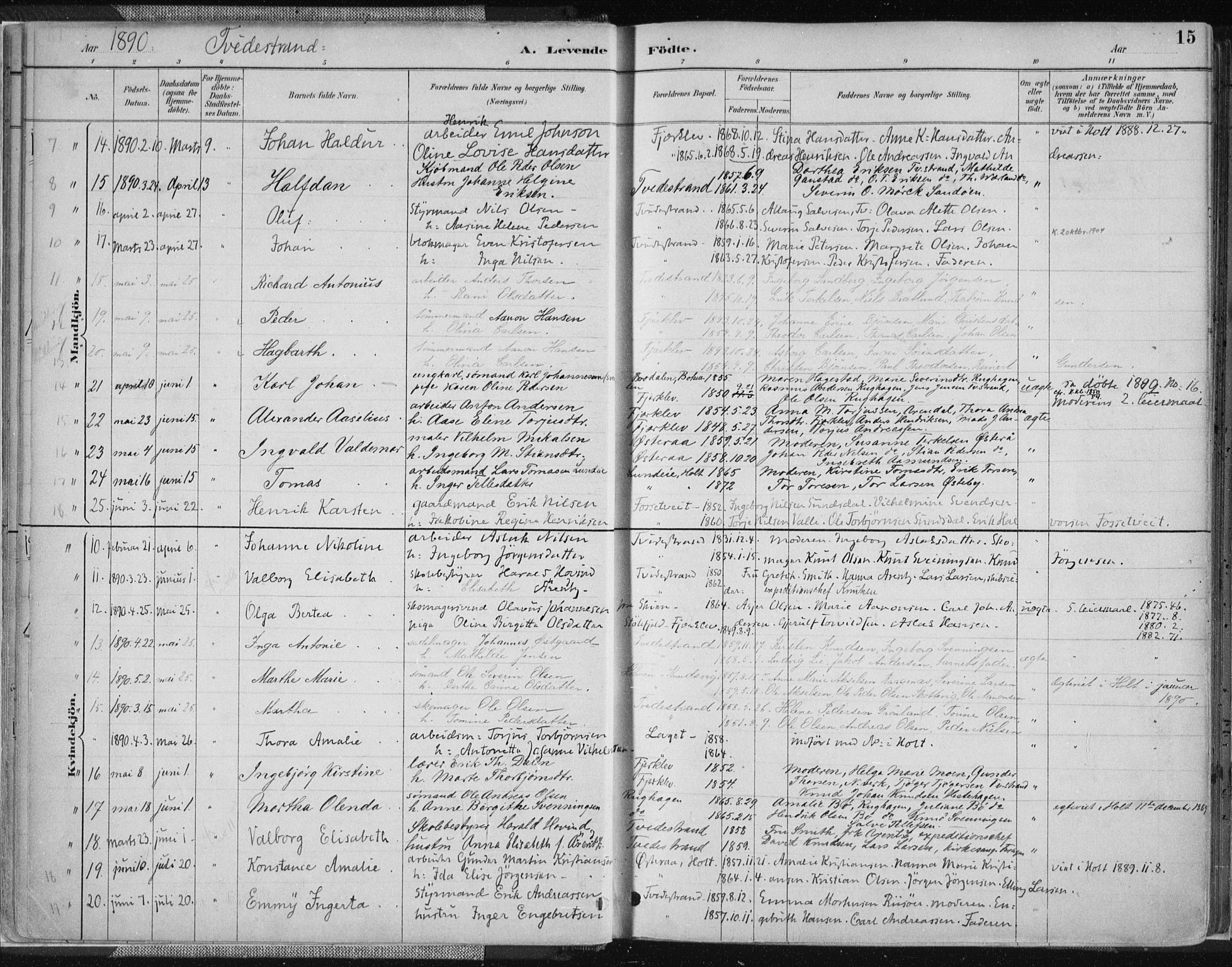 Tvedestrand sokneprestkontor, AV/SAK-1111-0042/F/Fa/L0001: Parish register (official) no. A 1, 1885-1916, p. 15