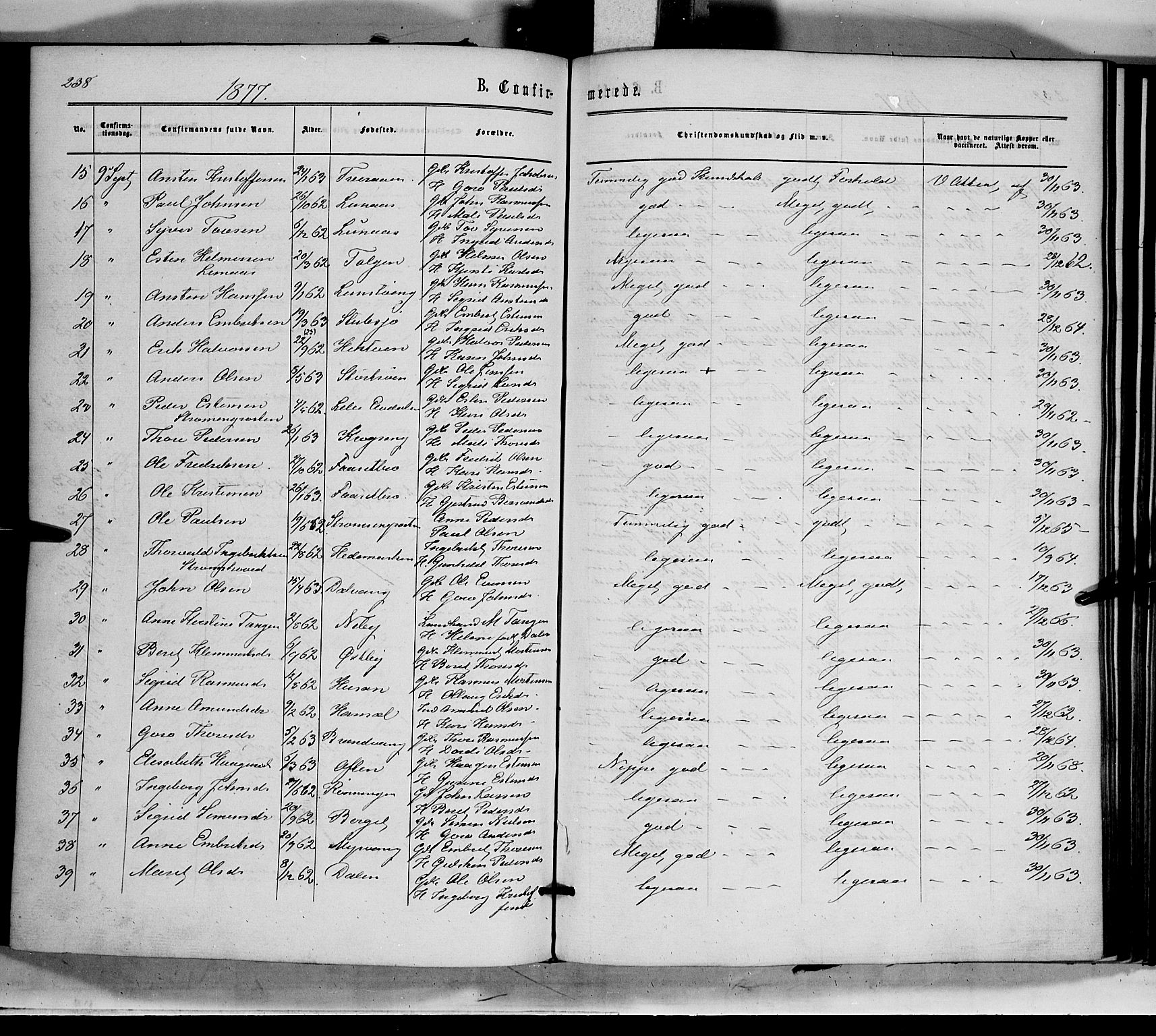 Tynset prestekontor, SAH/PREST-058/H/Ha/Haa/L0021: Parish register (official) no. 21, 1863-1879, p. 238