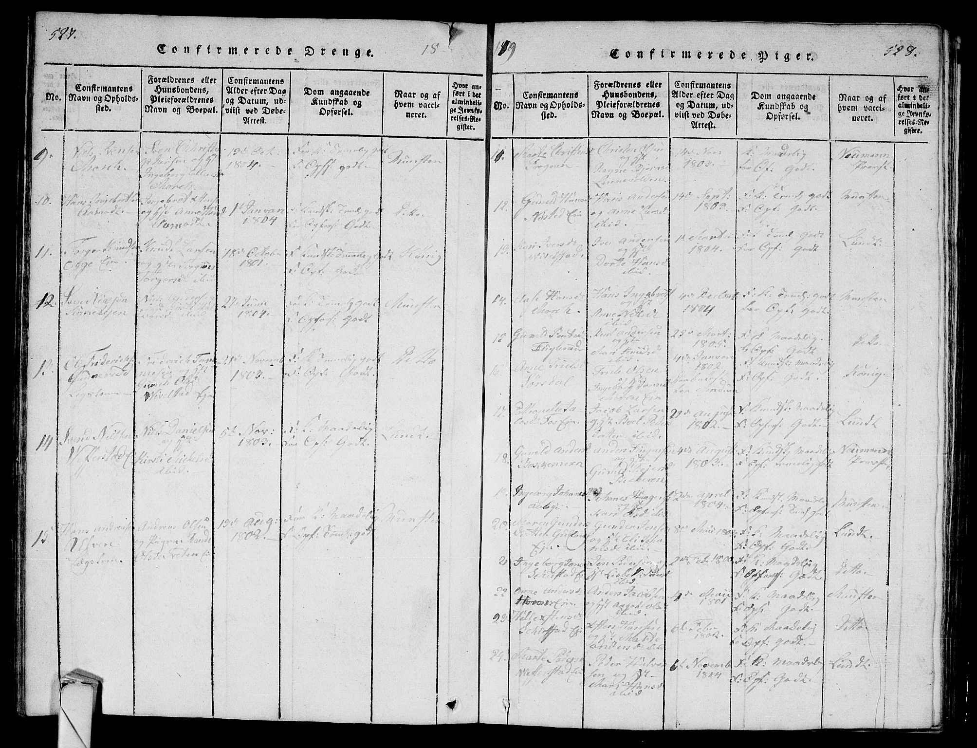 Lier kirkebøker, AV/SAKO-A-230/G/Ga/L0001: Parish register (copy) no. I 1, 1813-1824, p. 527-528