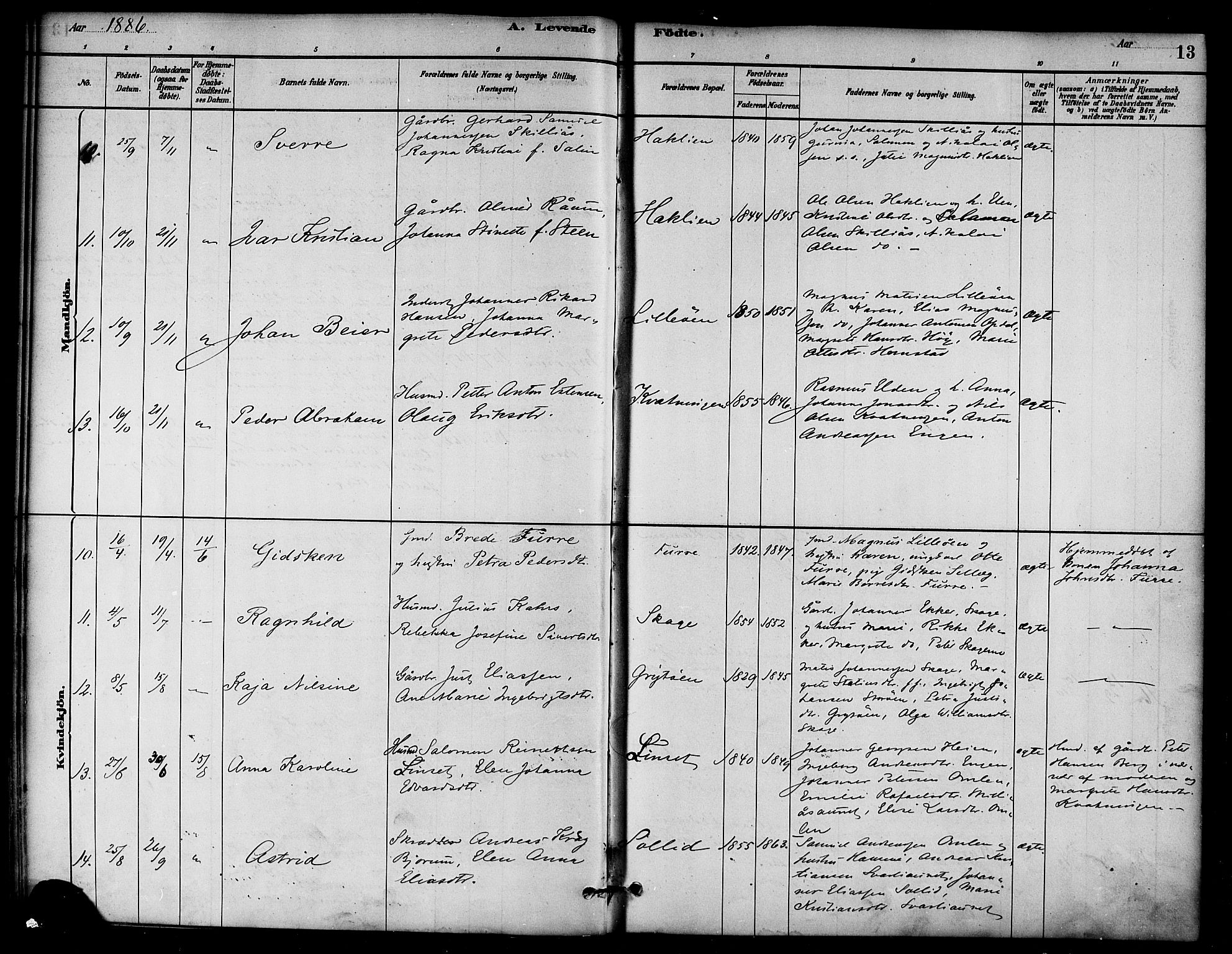 Ministerialprotokoller, klokkerbøker og fødselsregistre - Nord-Trøndelag, AV/SAT-A-1458/766/L0563: Parish register (official) no. 767A01, 1881-1899, p. 13