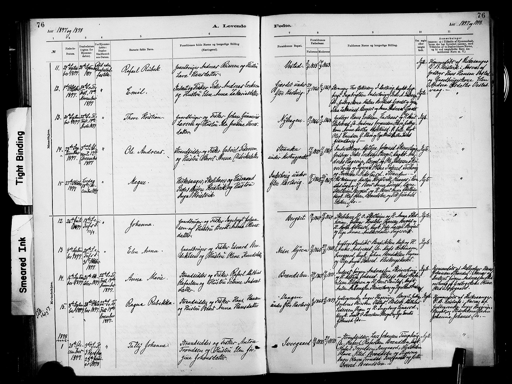 Ministerialprotokoller, klokkerbøker og fødselsregistre - Møre og Romsdal, SAT/A-1454/566/L0769: Parish register (official) no. 566A08, 1881-1903, p. 76