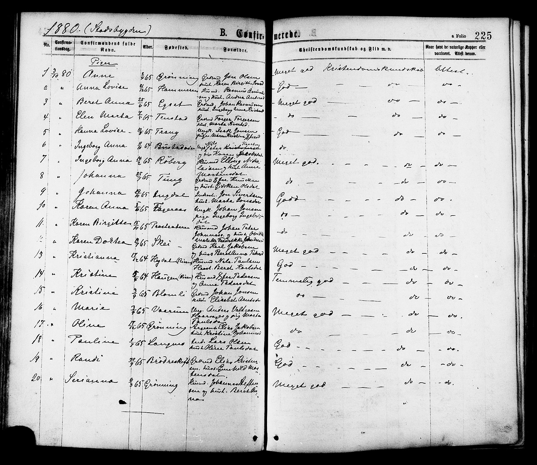 Ministerialprotokoller, klokkerbøker og fødselsregistre - Sør-Trøndelag, SAT/A-1456/646/L0613: Parish register (official) no. 646A11, 1870-1884, p. 225