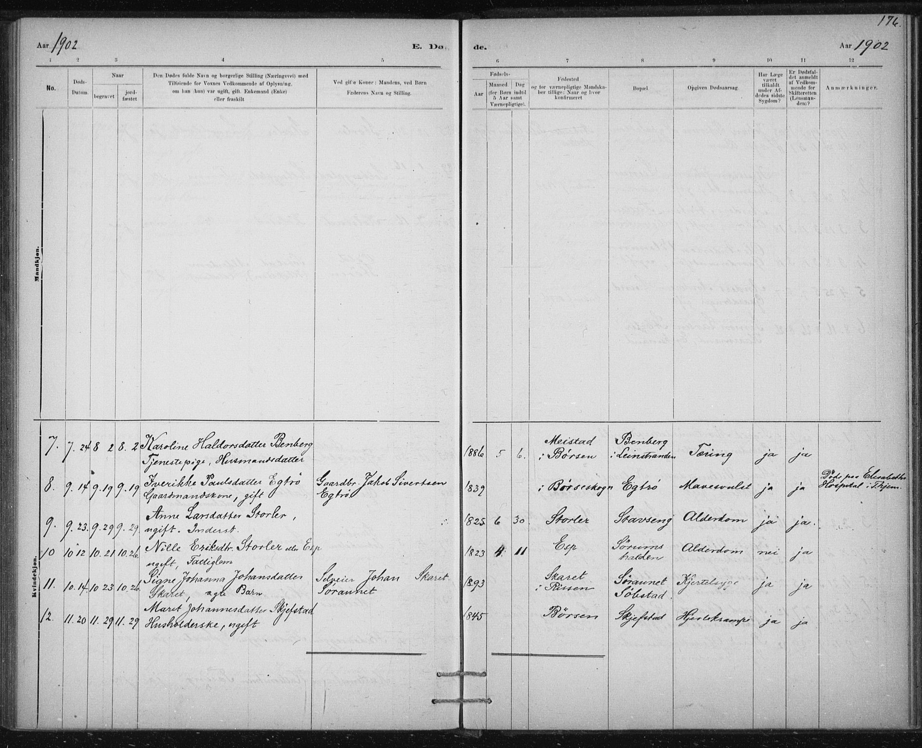 Ministerialprotokoller, klokkerbøker og fødselsregistre - Sør-Trøndelag, SAT/A-1456/613/L0392: Parish register (official) no. 613A01, 1887-1906, p. 176