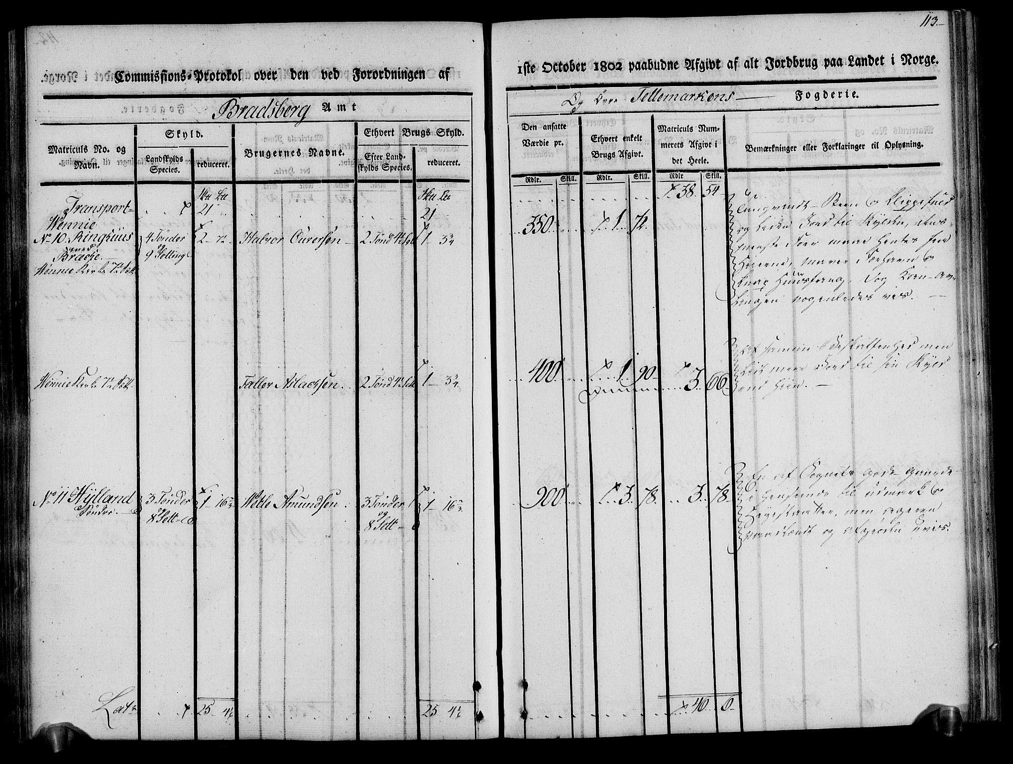 Rentekammeret inntil 1814, Realistisk ordnet avdeling, AV/RA-EA-4070/N/Ne/Nea/L0075: Øvre Telemarken fogderi. Kommisjonsprotokoll for fogderiets vestre del - Kviteseid, Vinje, Moland [):Fyresdal] og Lårdal prestegjeld., 1803, p. 113