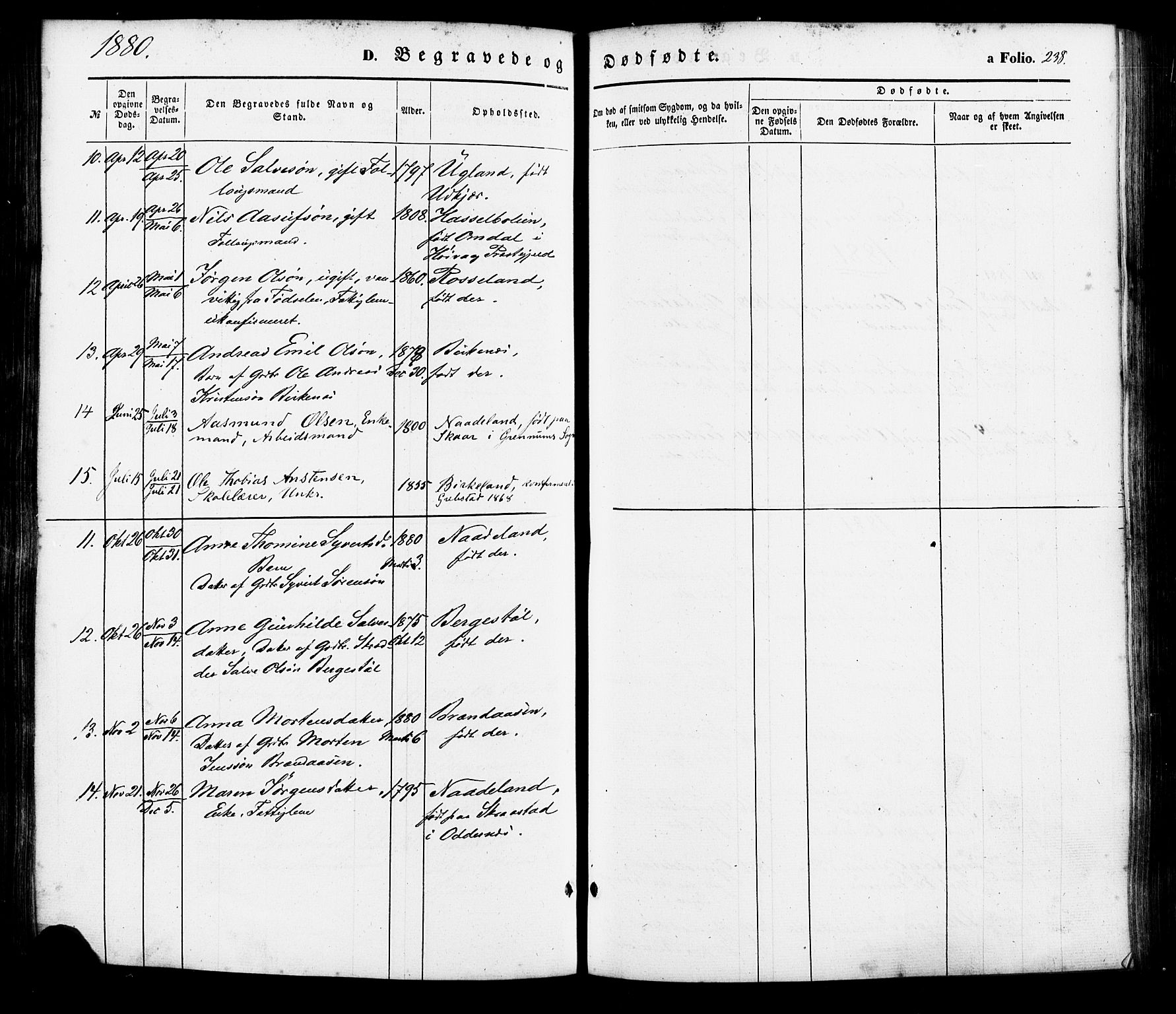 Søgne sokneprestkontor, AV/SAK-1111-0037/F/Fa/Faa/L0002: Parish register (official) no. A 2, 1854-1882, p. 238