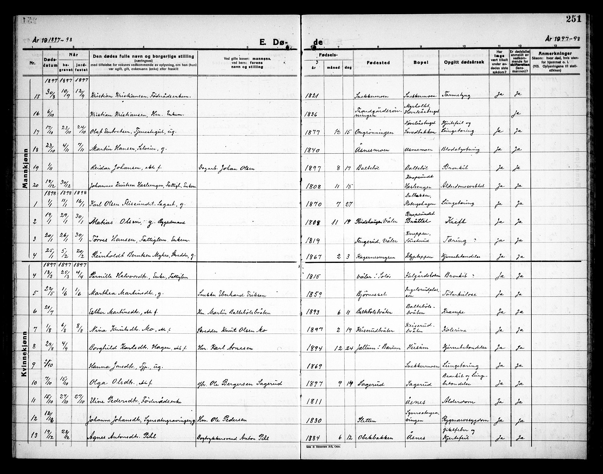 Åsnes prestekontor, SAH/PREST-042/H/Ha/Haa/L0000C: Parish register (official) no. 0A, 1890-1929, p. 251