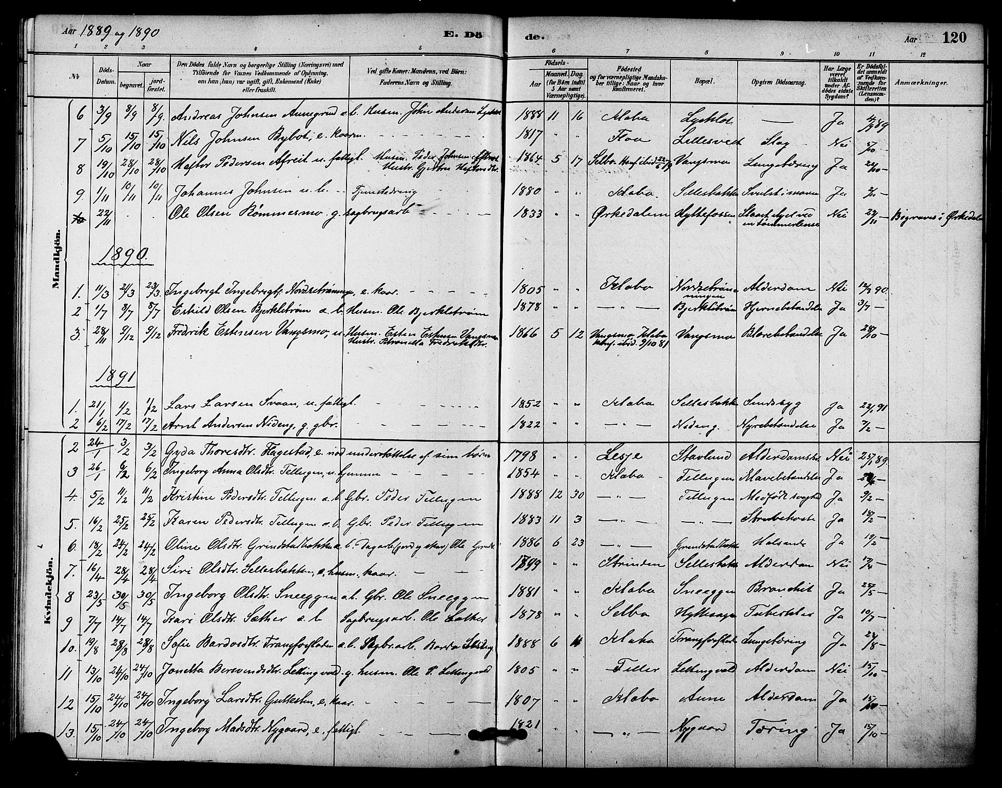 Ministerialprotokoller, klokkerbøker og fødselsregistre - Sør-Trøndelag, SAT/A-1456/618/L0444: Parish register (official) no. 618A07, 1880-1898, p. 120