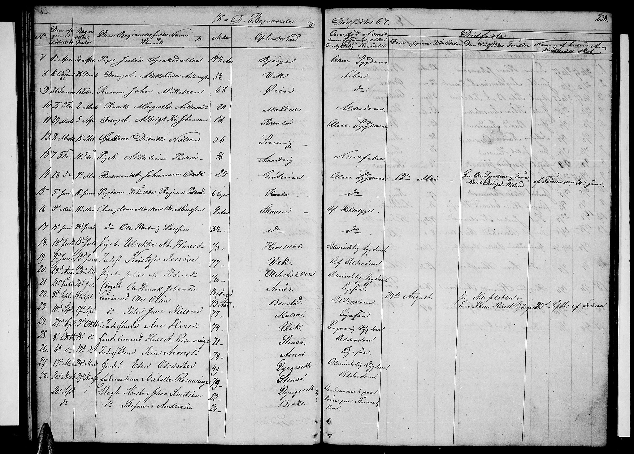 Ministerialprotokoller, klokkerbøker og fødselsregistre - Nordland, AV/SAT-A-1459/812/L0187: Parish register (copy) no. 812C05, 1850-1883, p. 238