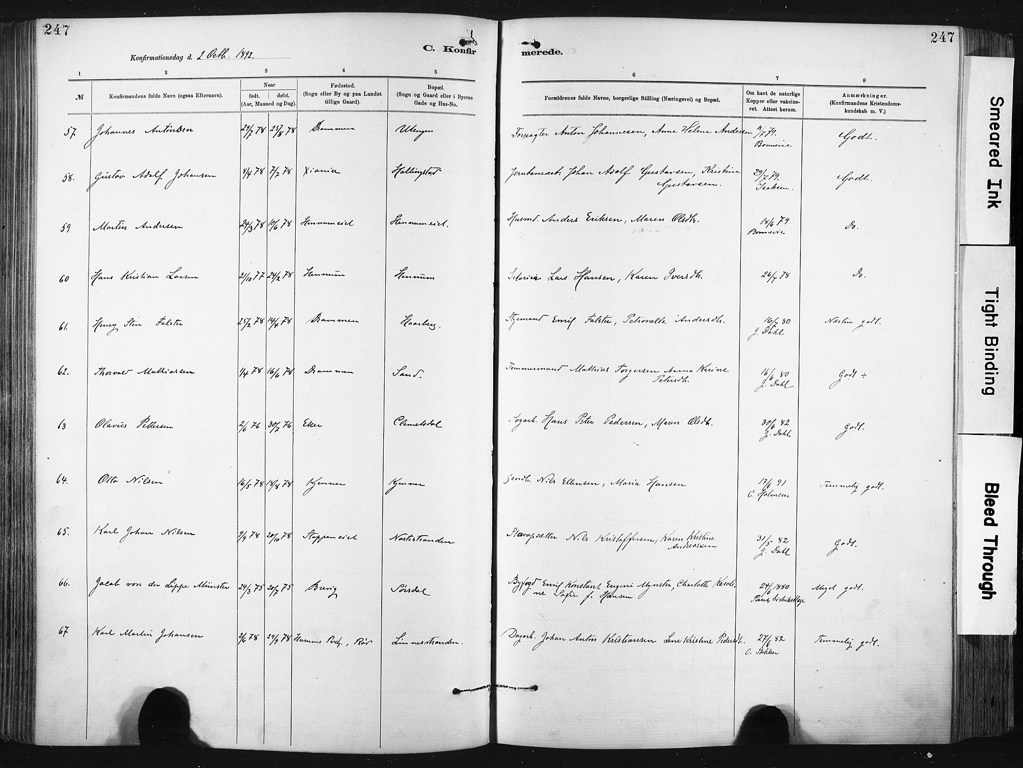 Lier kirkebøker, AV/SAKO-A-230/F/Fa/L0015: Parish register (official) no. I 15, 1883-1894, p. 247