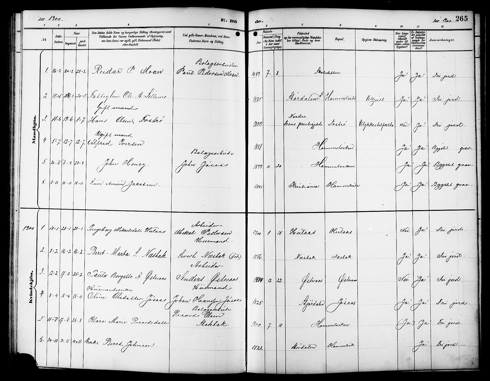 Ministerialprotokoller, klokkerbøker og fødselsregistre - Sør-Trøndelag, SAT/A-1456/617/L0431: Parish register (copy) no. 617C01, 1889-1910, p. 265