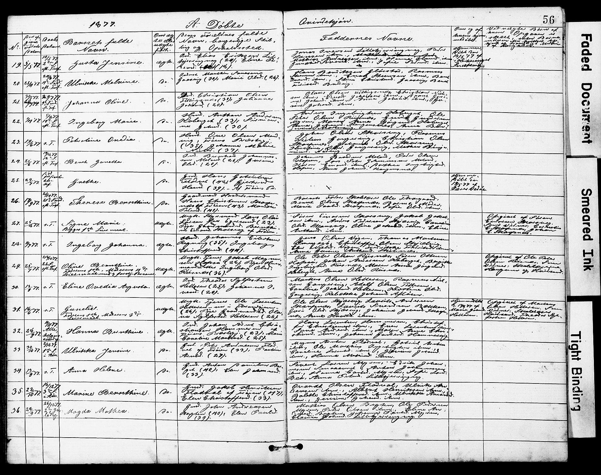 Ministerialprotokoller, klokkerbøker og fødselsregistre - Sør-Trøndelag, AV/SAT-A-1456/634/L0541: Parish register (copy) no. 634C03, 1874-1891, p. 56