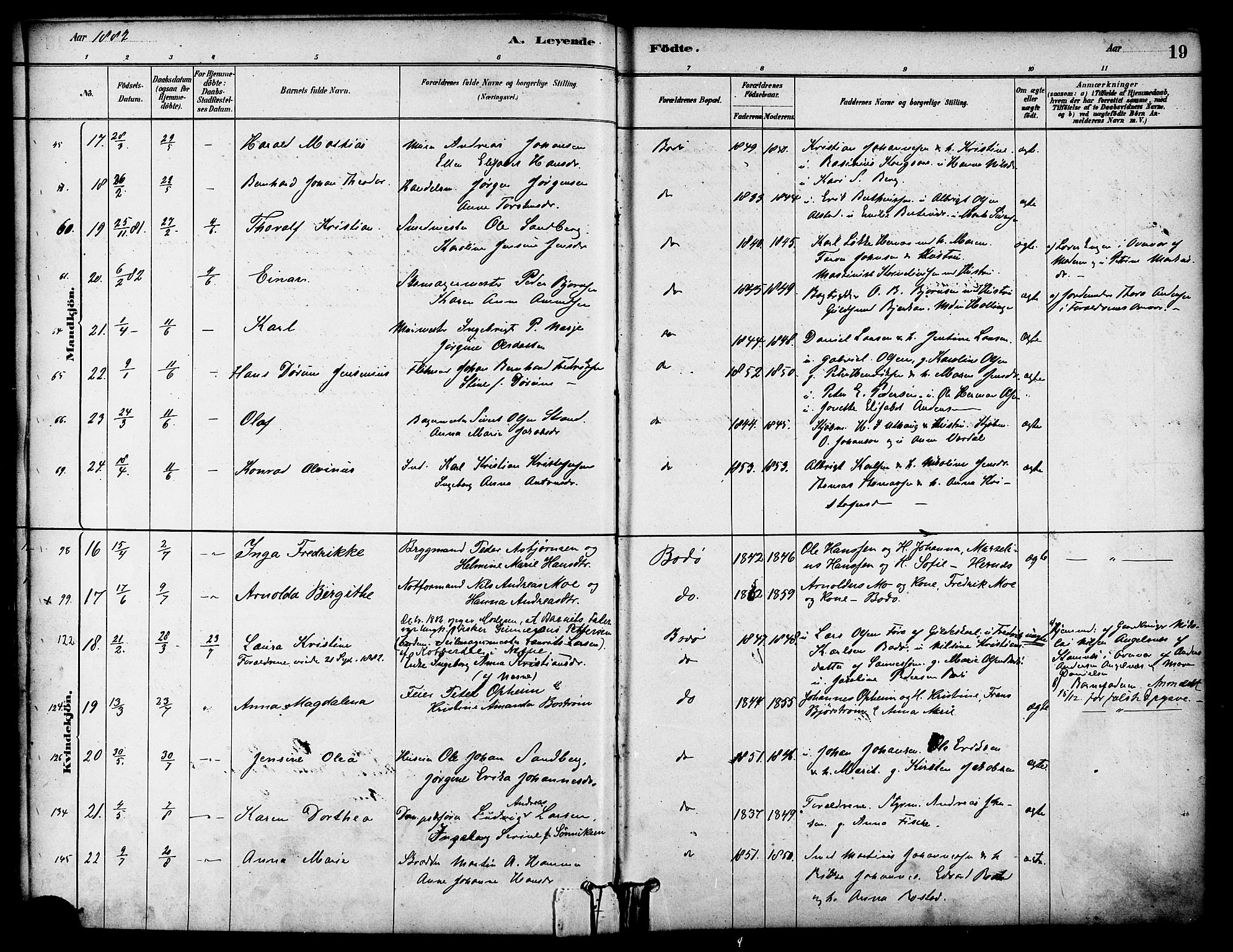 Ministerialprotokoller, klokkerbøker og fødselsregistre - Nordland, AV/SAT-A-1459/801/L0030: Parish register (copy) no. 801C05, 1879-1887, p. 19
