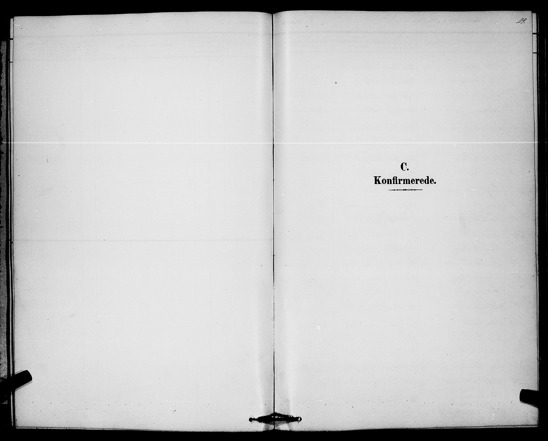 Bø kirkebøker, SAKO/A-257/G/Ga/L0005: Parish register (copy) no. 5, 1883-1897, p. 119