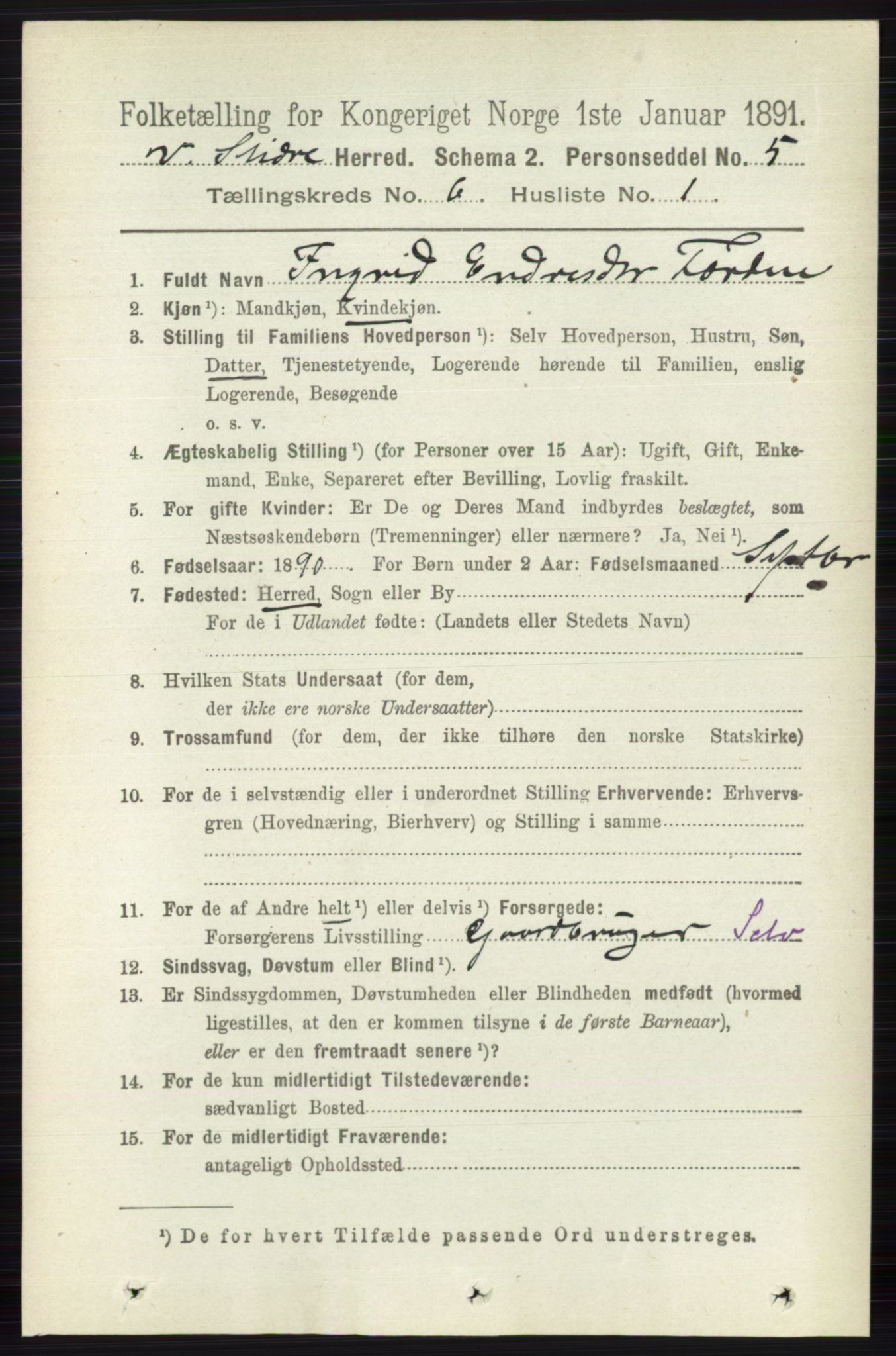 RA, 1891 census for 0543 Vestre Slidre, 1891, p. 2067