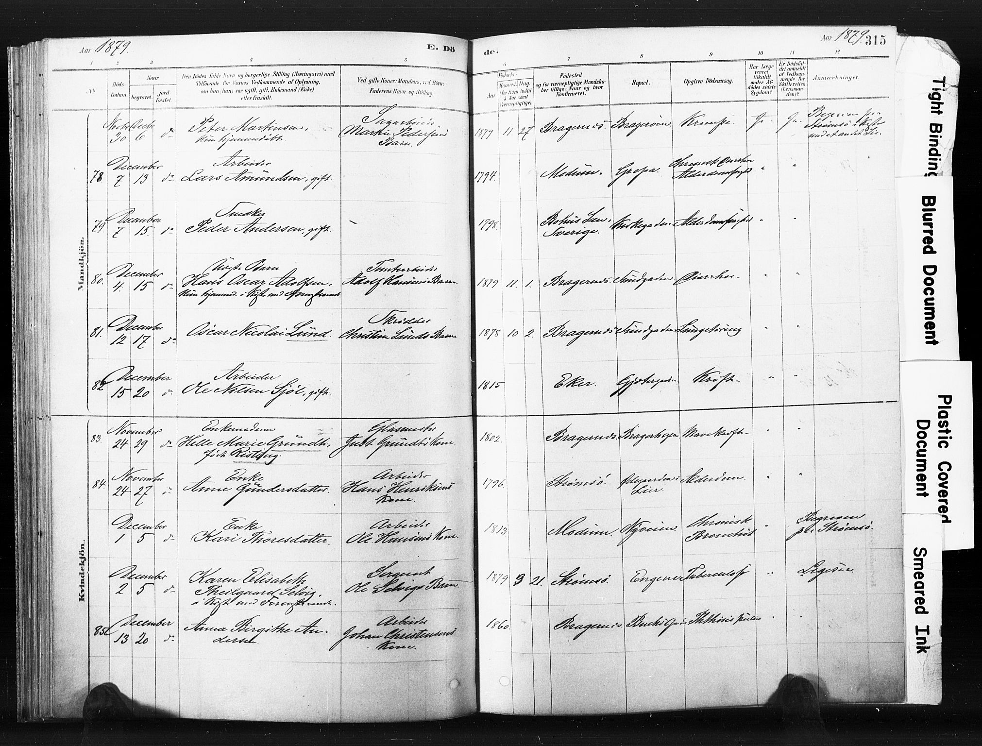 Bragernes kirkebøker, AV/SAKO-A-6/F/Fb/L0006b: Parish register (official) no. II 6B, 1878-1885, p. 315