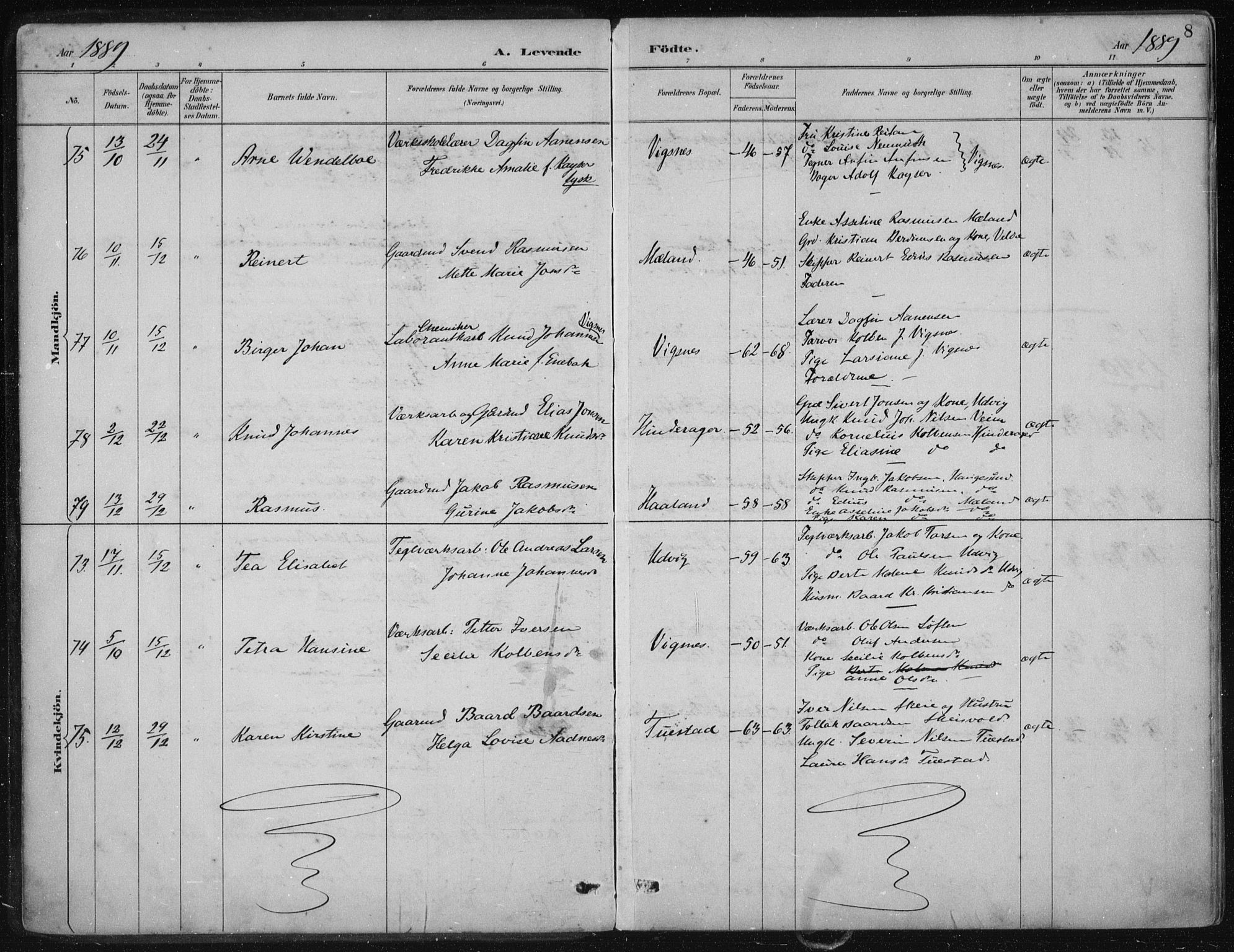 Avaldsnes sokneprestkontor, AV/SAST-A -101851/H/Ha/Haa/L0017: Parish register (official) no. A 17, 1889-1920, p. 8