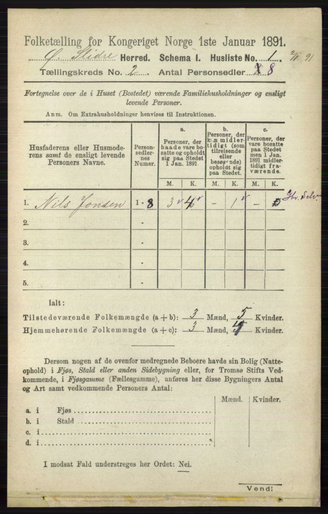 RA, 1891 census for 0544 Øystre Slidre, 1891, p. 220