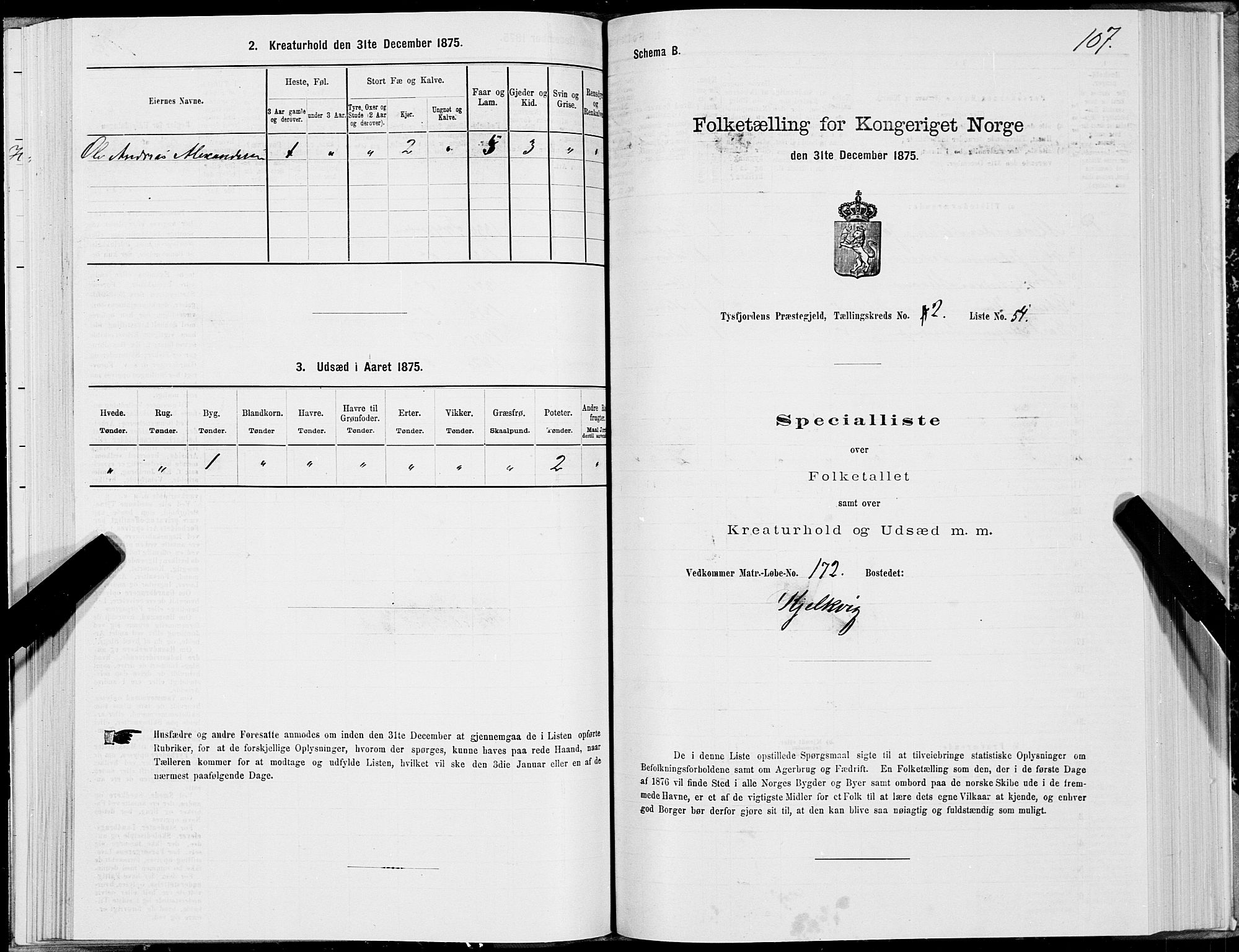 SAT, 1875 census for 1850P Tysfjord, 1875, p. 2107