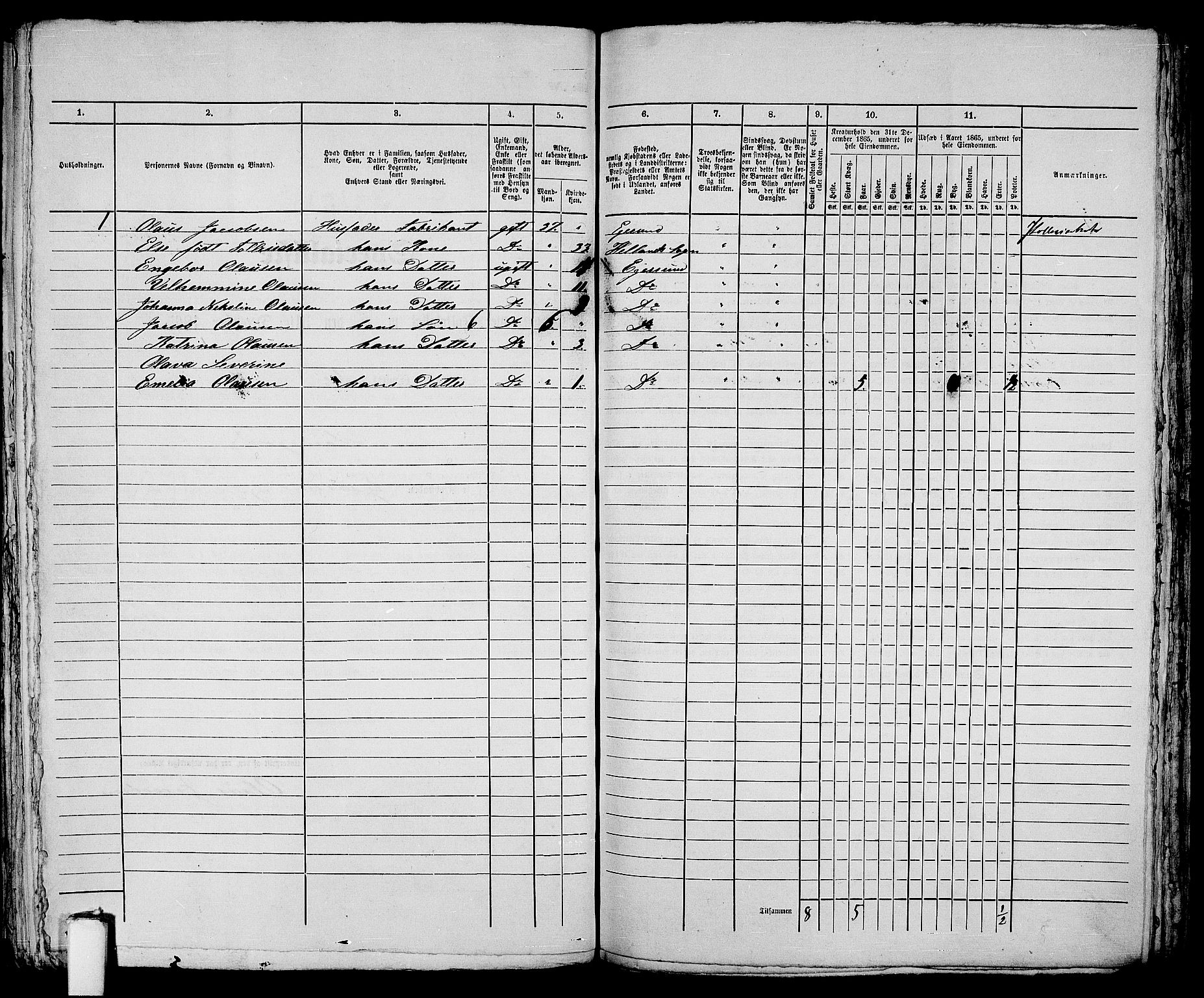 RA, 1865 census for Eigersund parish, Egersund town, 1865, p. 422