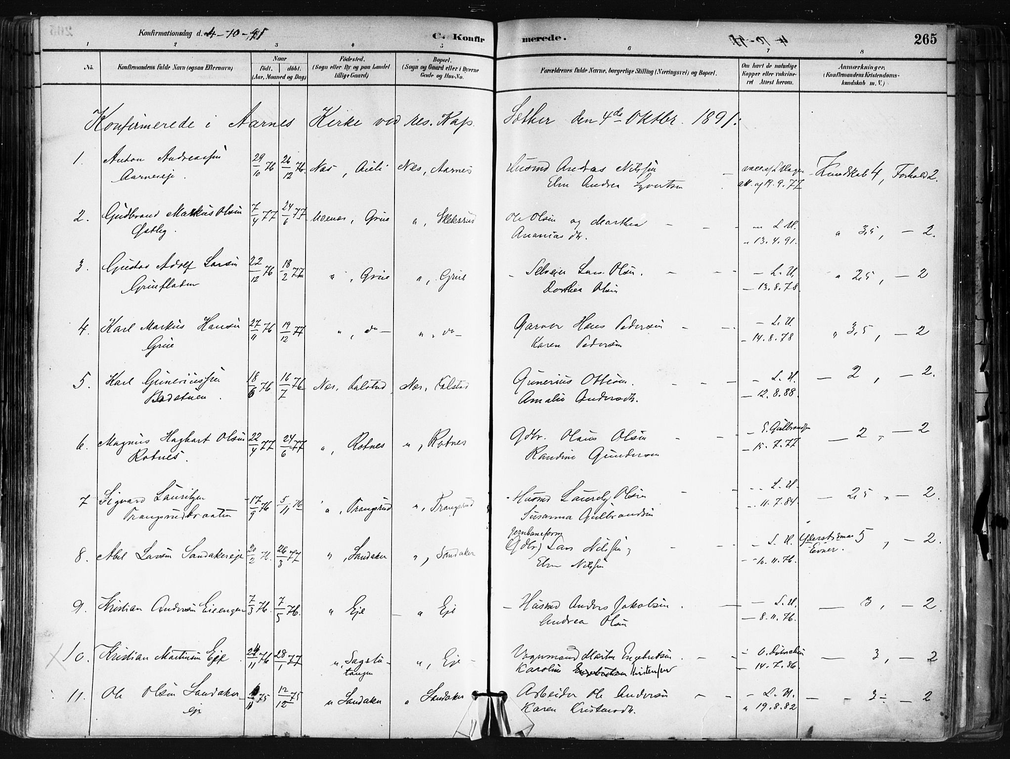 Nes prestekontor Kirkebøker, AV/SAO-A-10410/F/Fa/L0010: Parish register (official) no. I 10, 1883-1898, p. 265