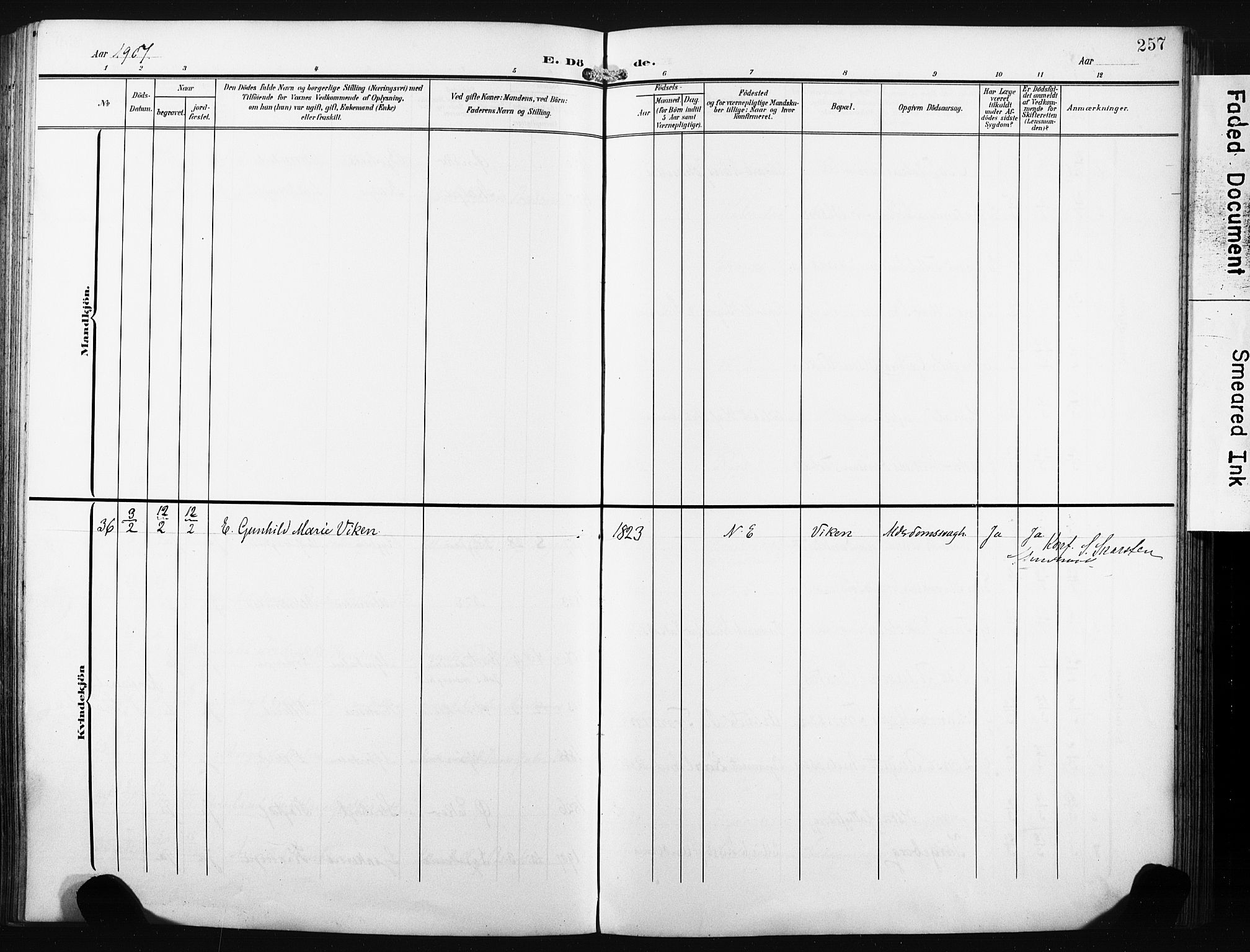 Nedre Eiker kirkebøker, AV/SAKO-A-612/F/Fa/L0006: Parish register (official) no. 6, 1906-1912, p. 257