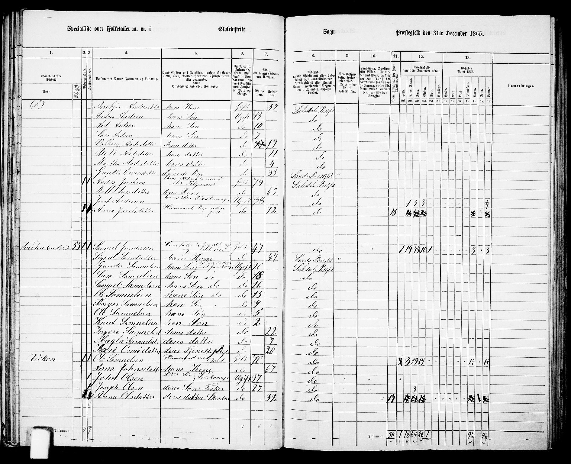 RA, 1865 census for Suldal, 1865, p. 41