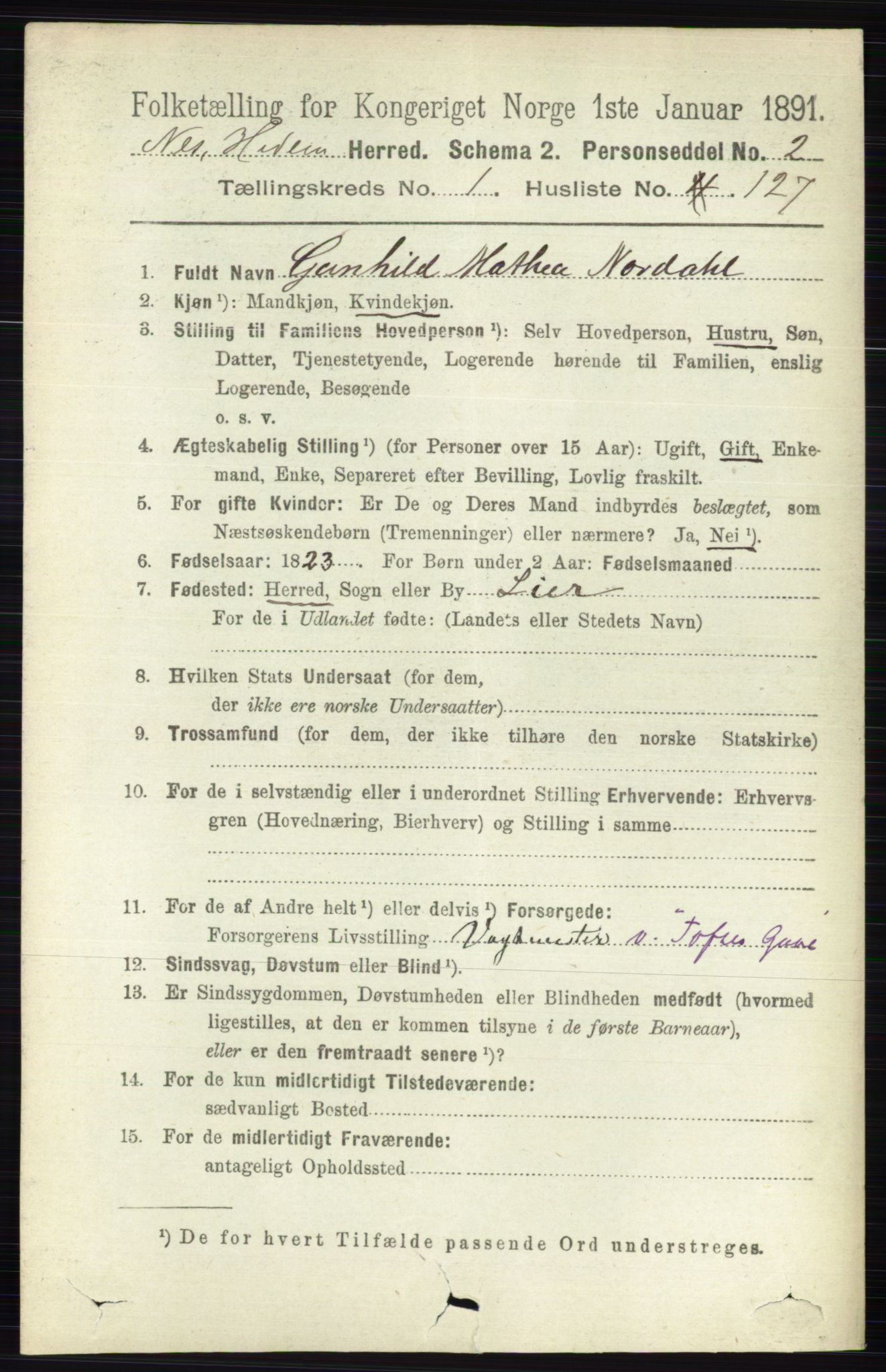 RA, 1891 census for 0411 Nes, 1891, p. 999