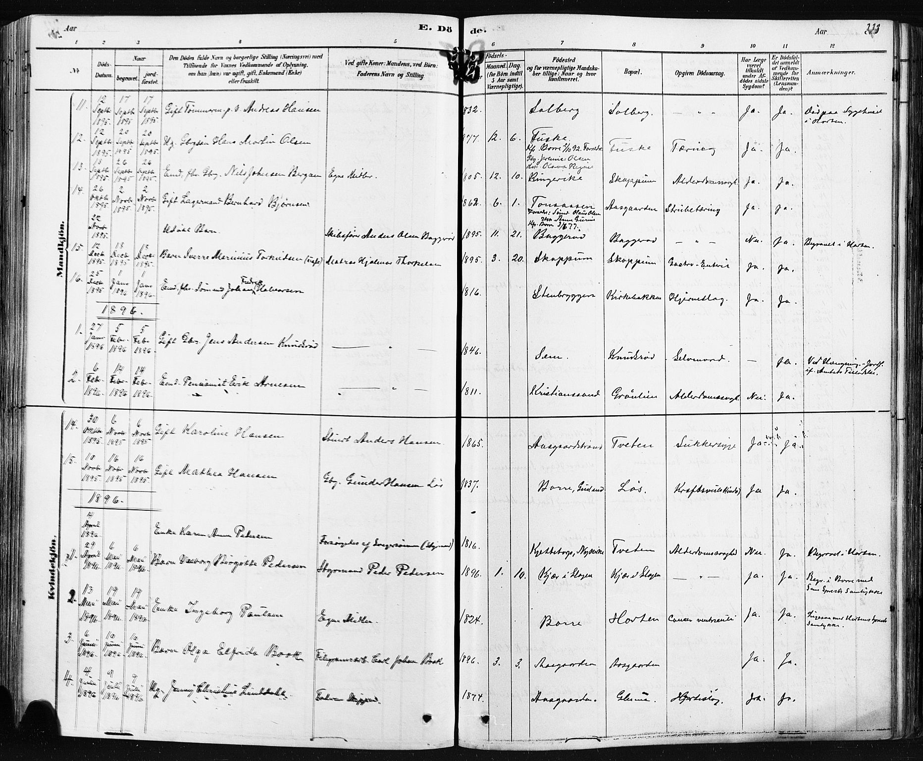 Borre kirkebøker, SAKO/A-338/F/Fa/L0009: Parish register (official) no. I 9, 1878-1896, p. 223