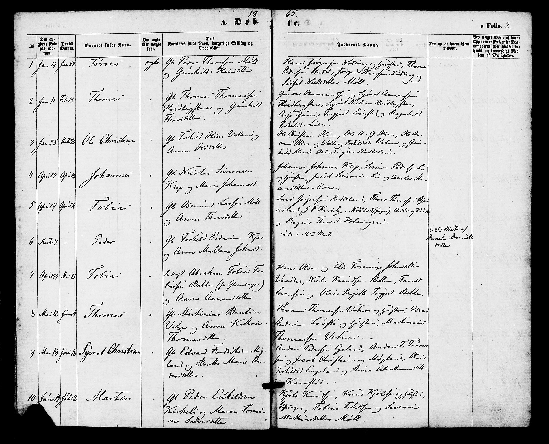 Holum sokneprestkontor, SAK/1111-0022/F/Fa/Faa/L0006: Parish register (official) no. A 6, 1865-1883, p. 2