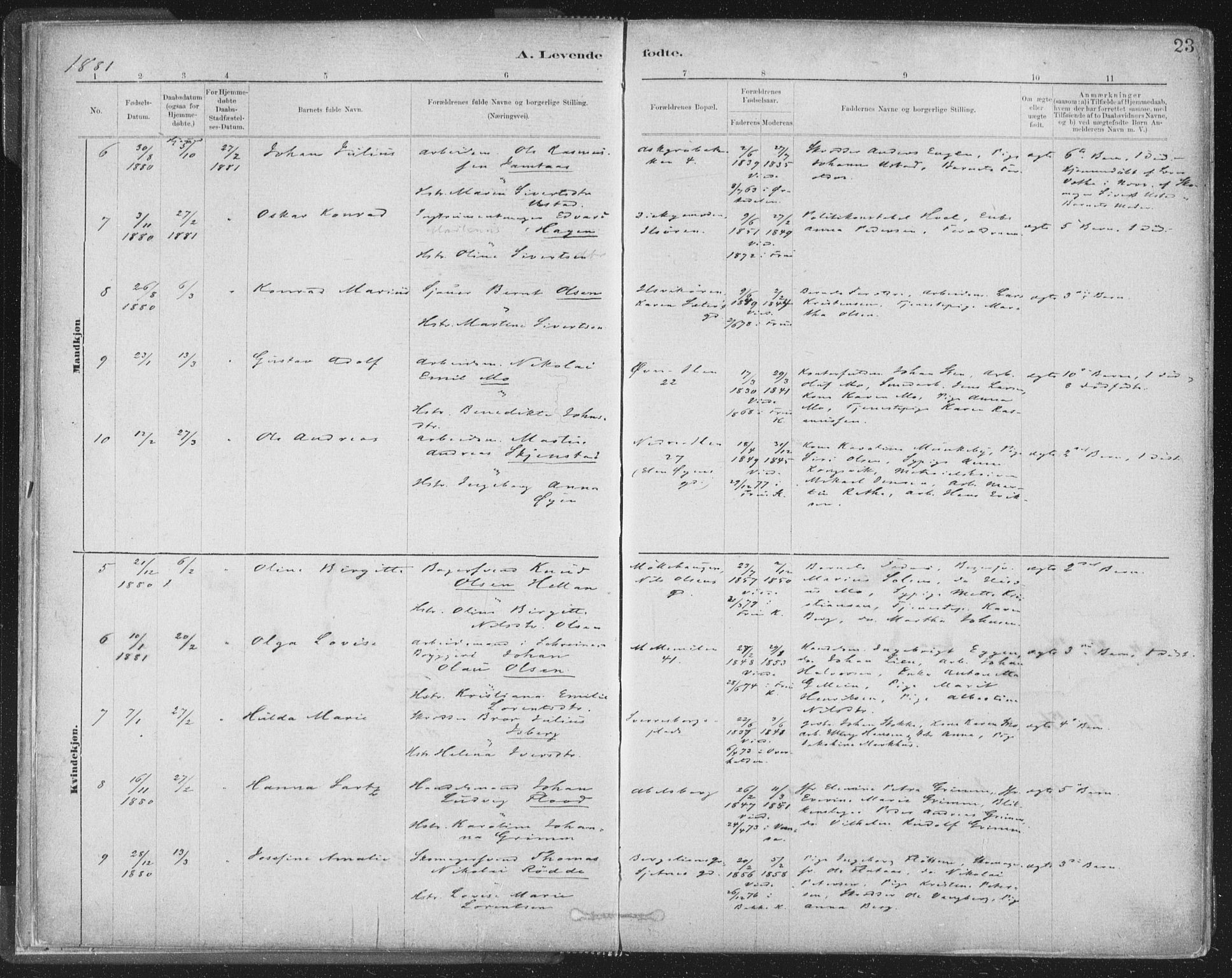 Ministerialprotokoller, klokkerbøker og fødselsregistre - Sør-Trøndelag, SAT/A-1456/603/L0162: Parish register (official) no. 603A01, 1879-1895, p. 23