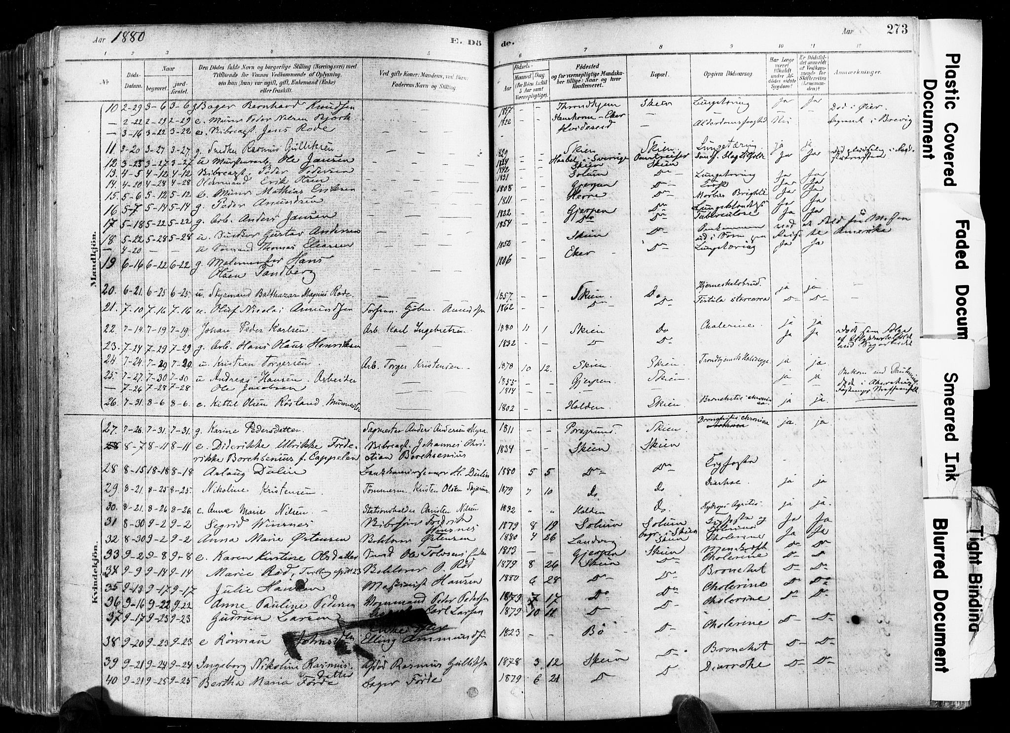 Skien kirkebøker, AV/SAKO-A-302/F/Fa/L0009: Parish register (official) no. 9, 1878-1890, p. 273