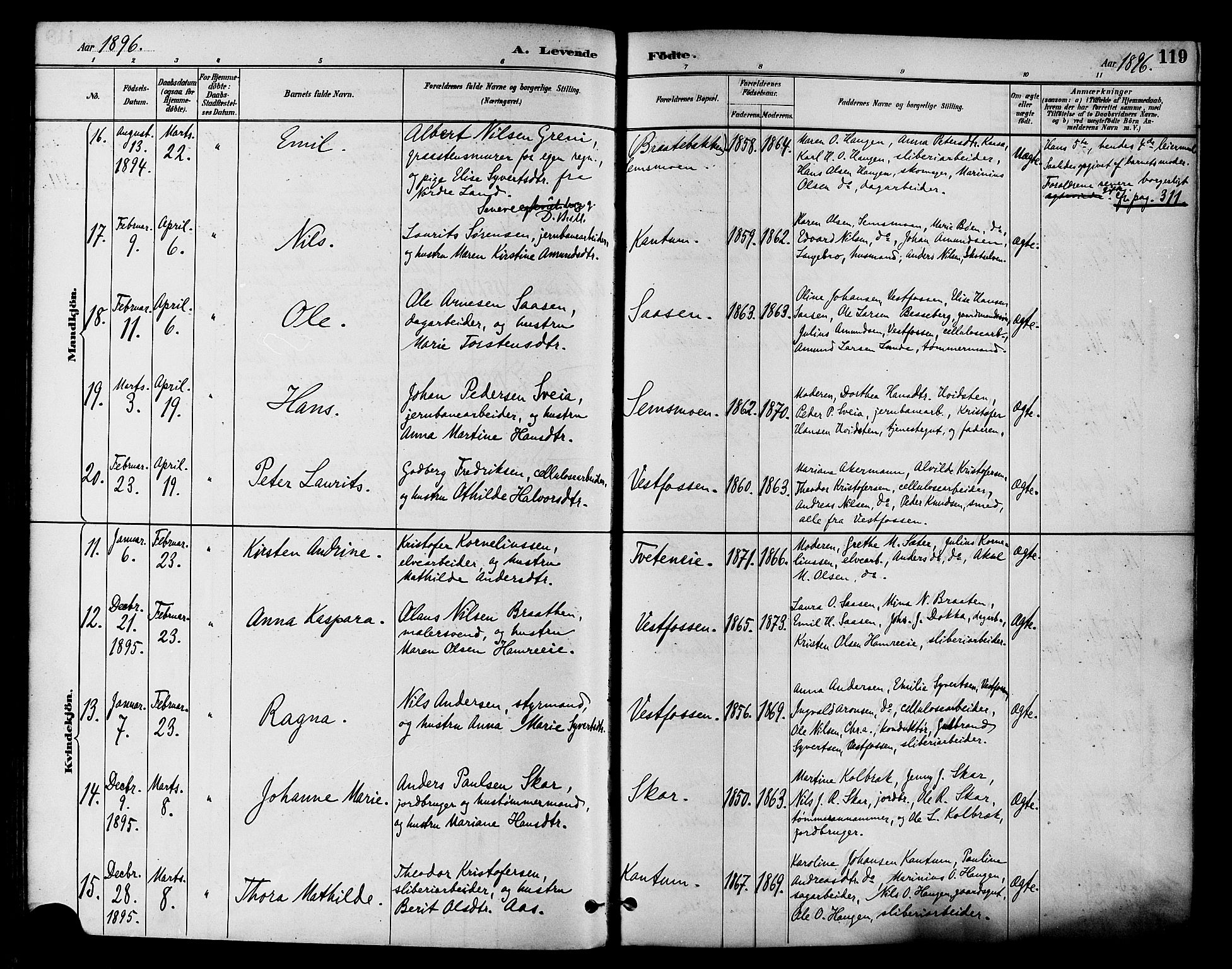 Eiker kirkebøker, AV/SAKO-A-4/F/Fb/L0002: Parish register (official) no. II 2, 1889-1896, p. 119