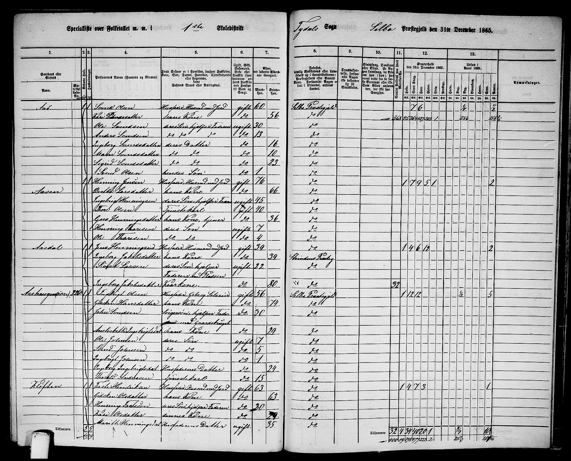 RA, 1865 census for Selbu, 1865, p. 237