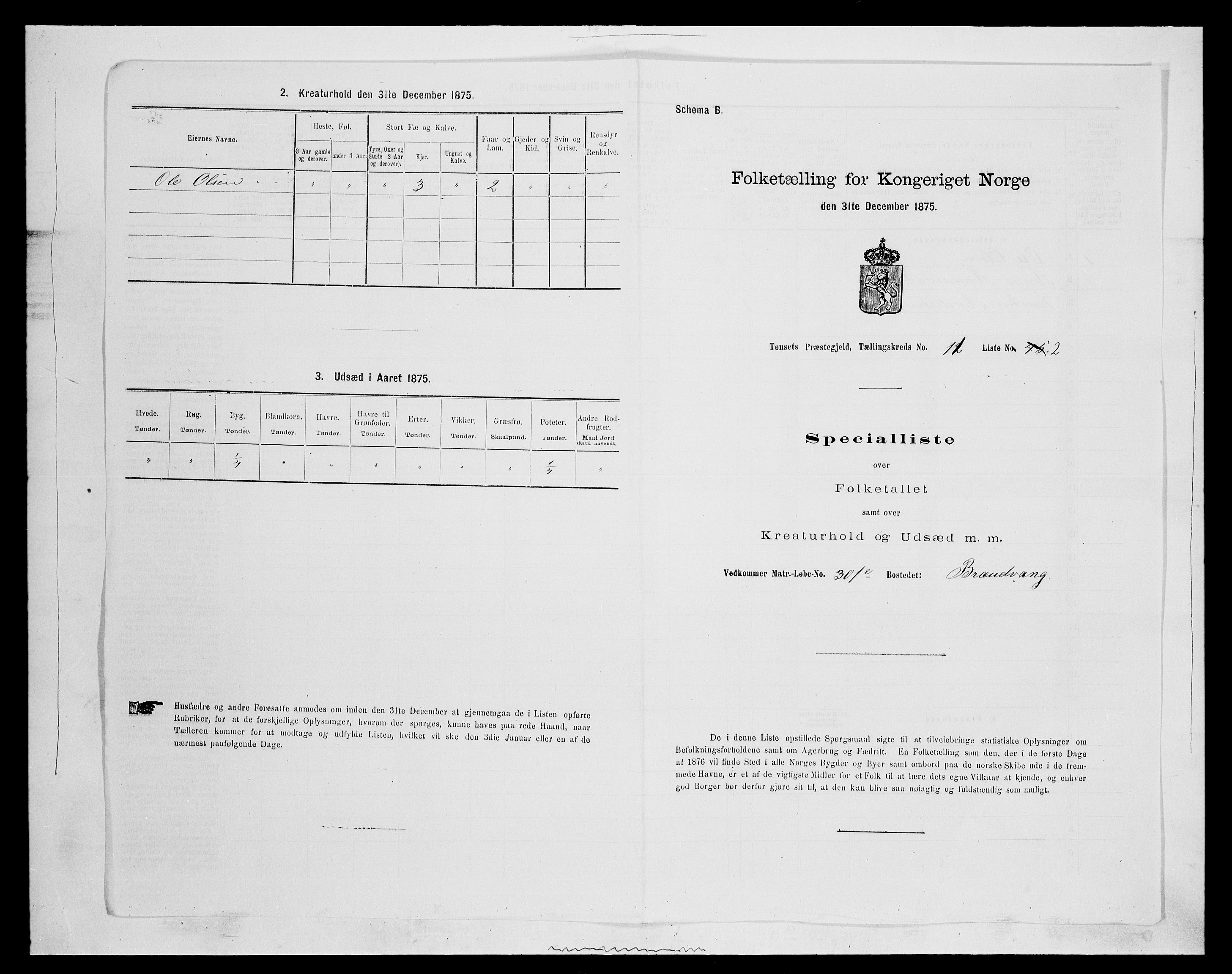 SAH, 1875 census for 0437P Tynset, 1875, p. 999