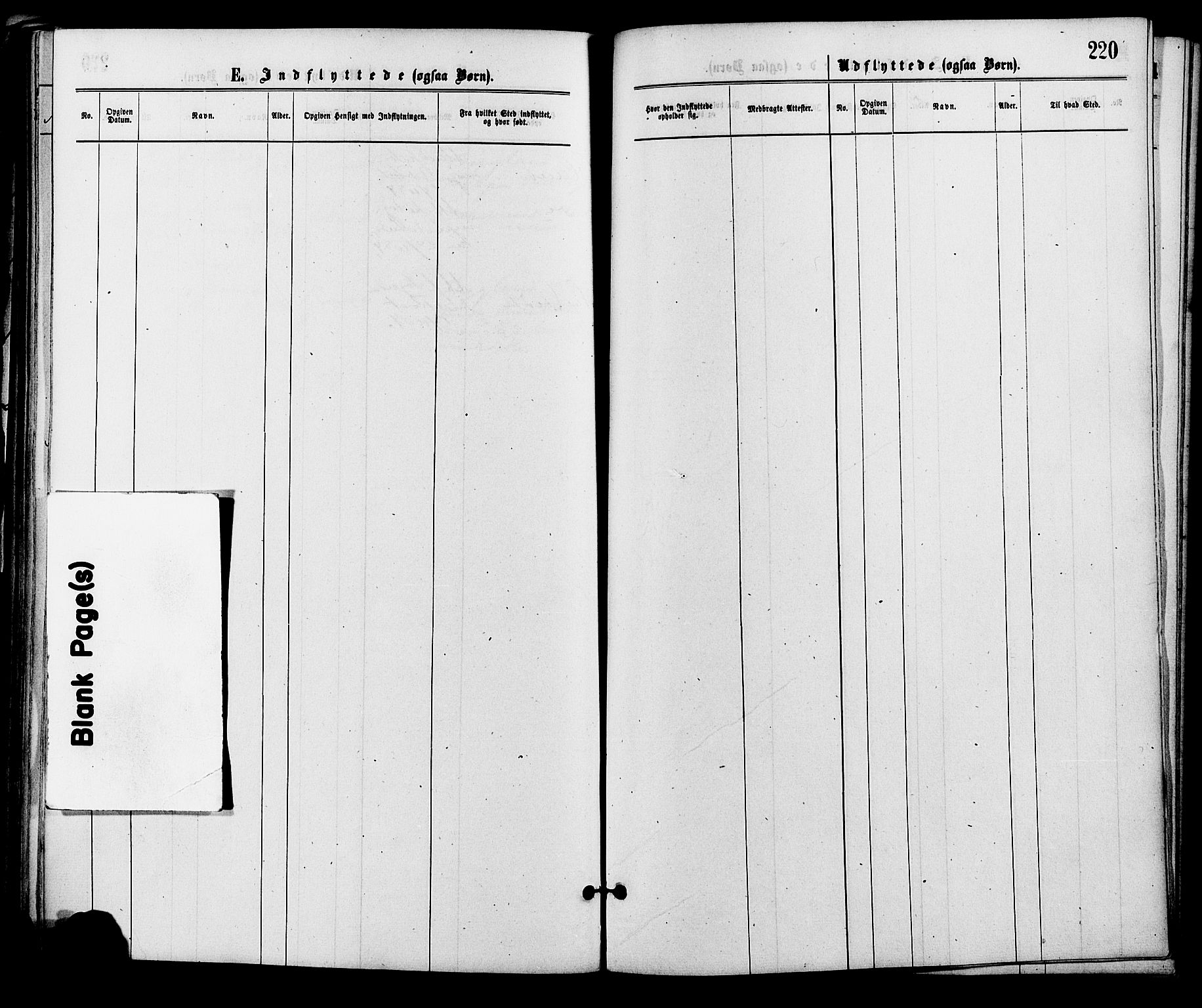 Åmli sokneprestkontor, AV/SAK-1111-0050/F/Fa/Fac/L0009: Parish register (official) no. A 9 /2, 1869-1884, p. 220