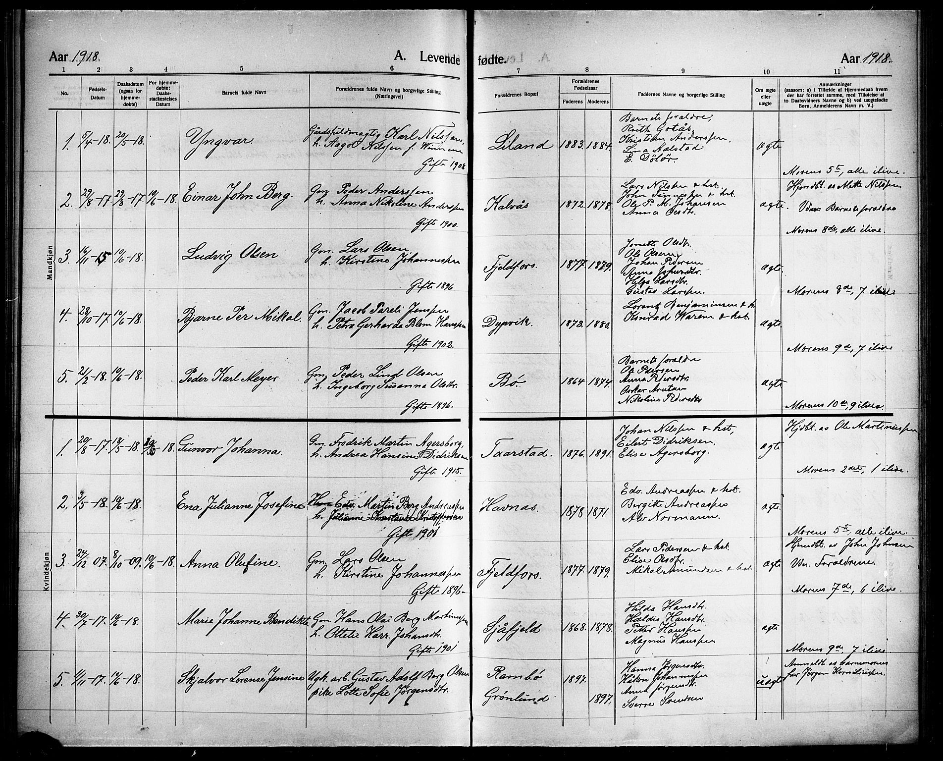 Ministerialprotokoller, klokkerbøker og fødselsregistre - Nordland, AV/SAT-A-1459/863/L0916: Parish register (copy) no. 863C06, 1907-1921