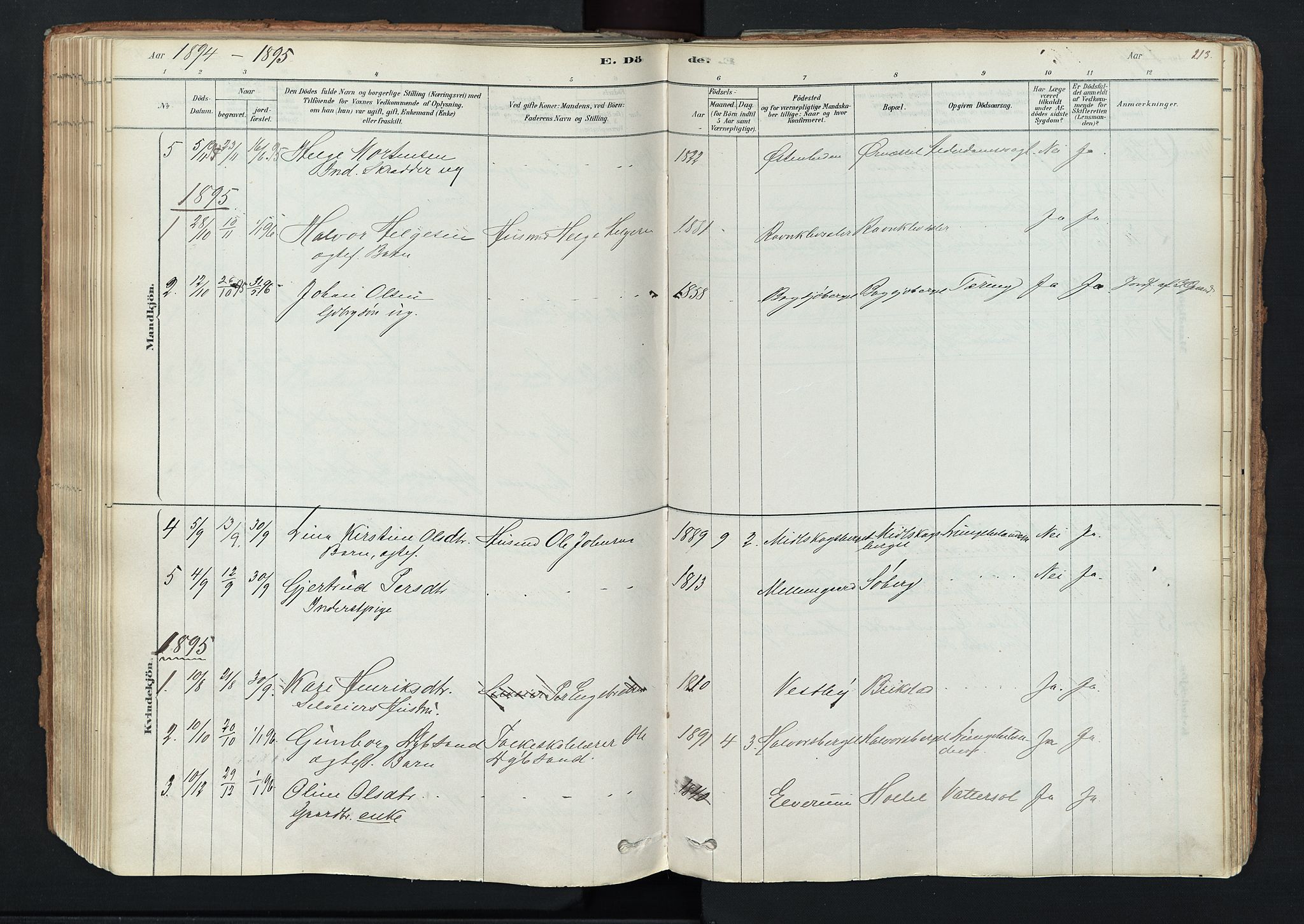 Trysil prestekontor, AV/SAH-PREST-046/H/Ha/Haa/L0011: Parish register (official) no. 11, 1878-1912, p. 213