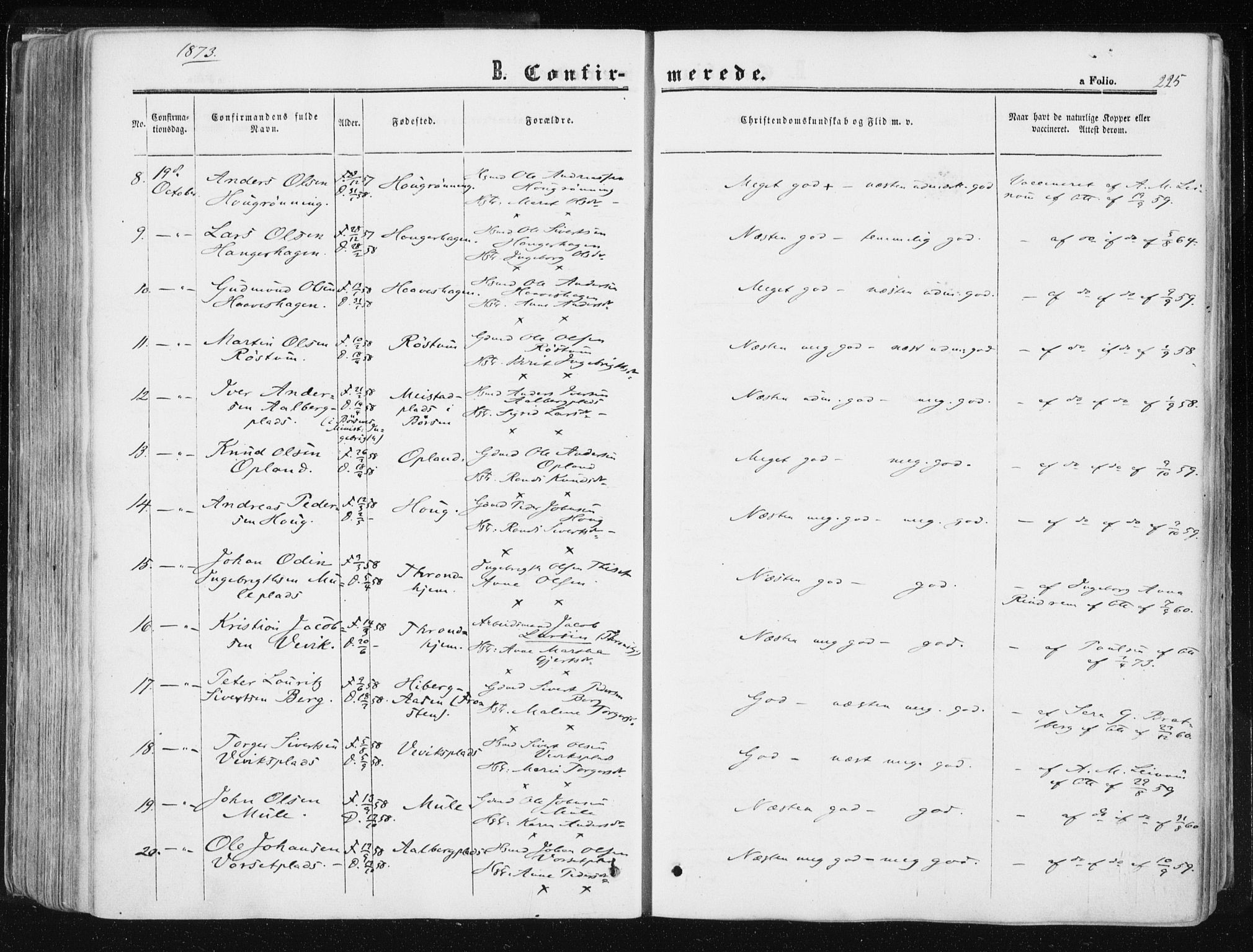 Ministerialprotokoller, klokkerbøker og fødselsregistre - Sør-Trøndelag, AV/SAT-A-1456/612/L0377: Parish register (official) no. 612A09, 1859-1877, p. 225