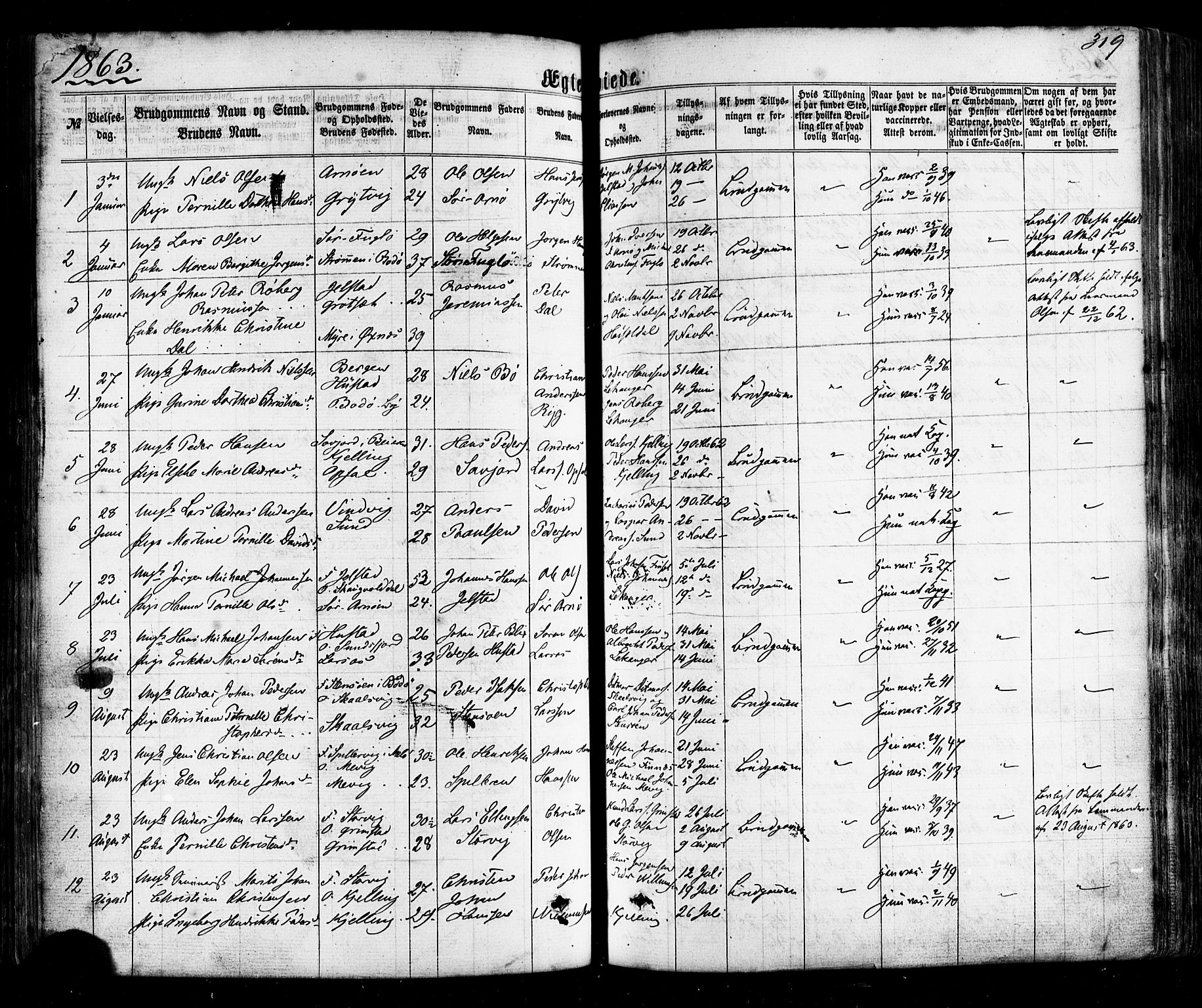 Ministerialprotokoller, klokkerbøker og fødselsregistre - Nordland, SAT/A-1459/805/L0098: Parish register (official) no. 805A05, 1862-1879, p. 319