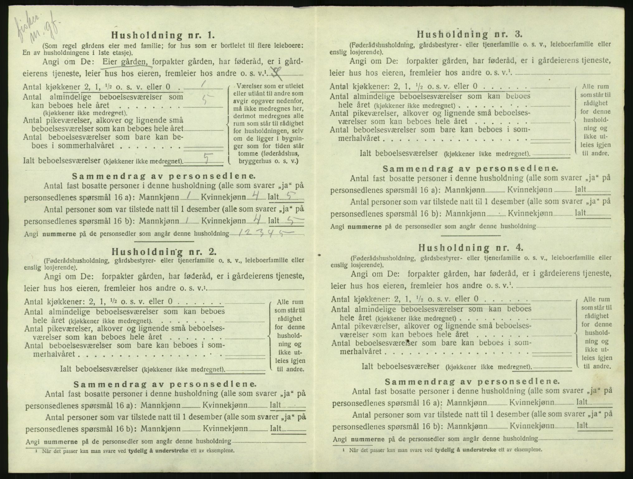 SAK, 1920 census for Nes (V-A), 1920, p. 1029