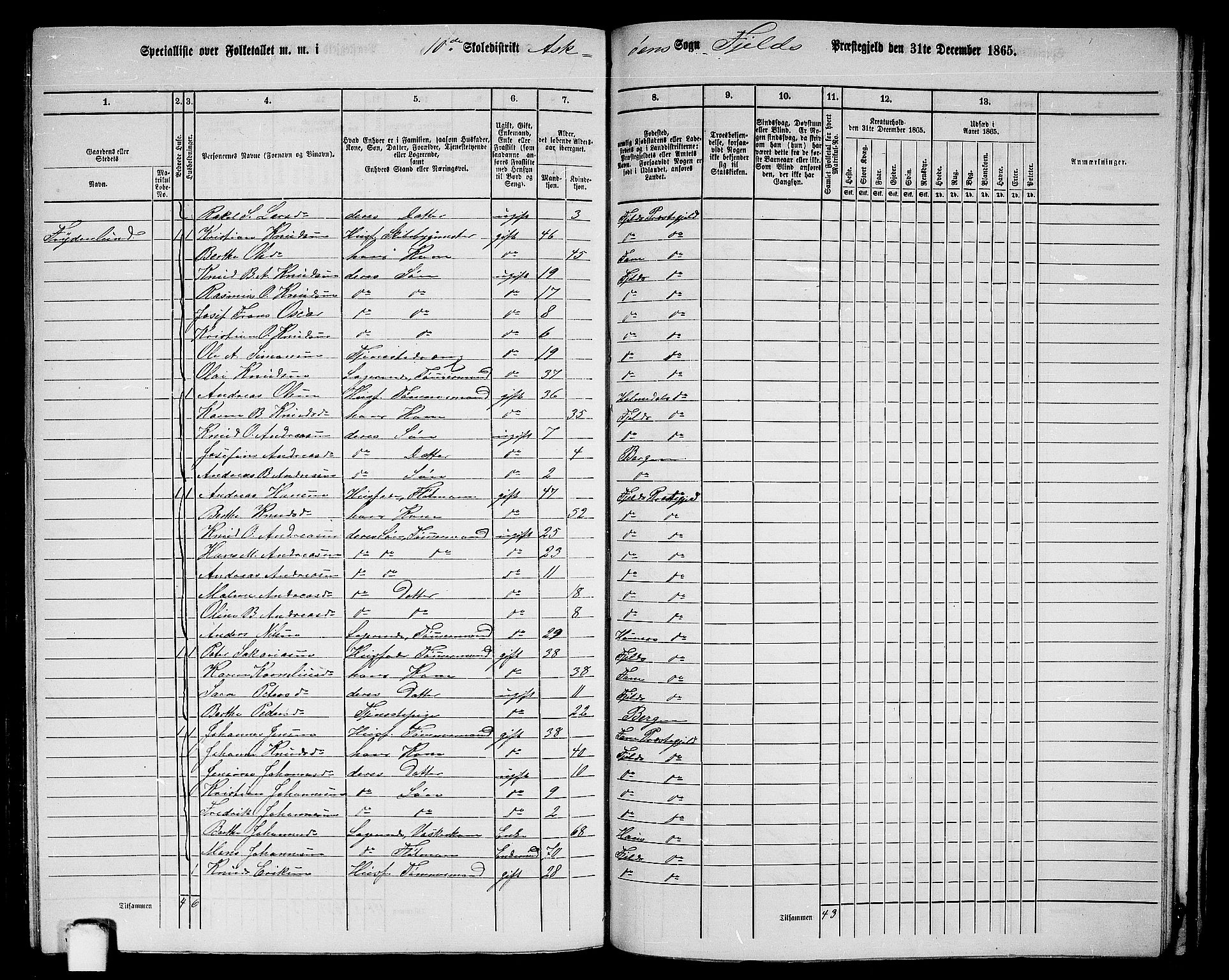 RA, 1865 census for Fjell, 1865, p. 238