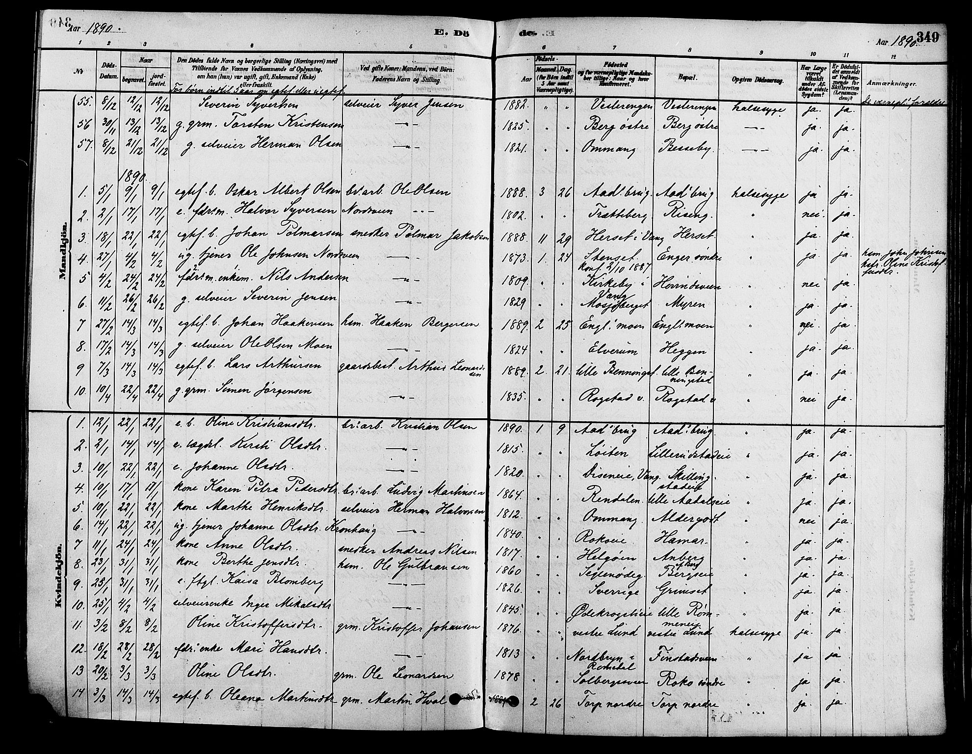 Løten prestekontor, SAH/PREST-022/K/Ka/L0009: Parish register (official) no. 9, 1878-1891, p. 349