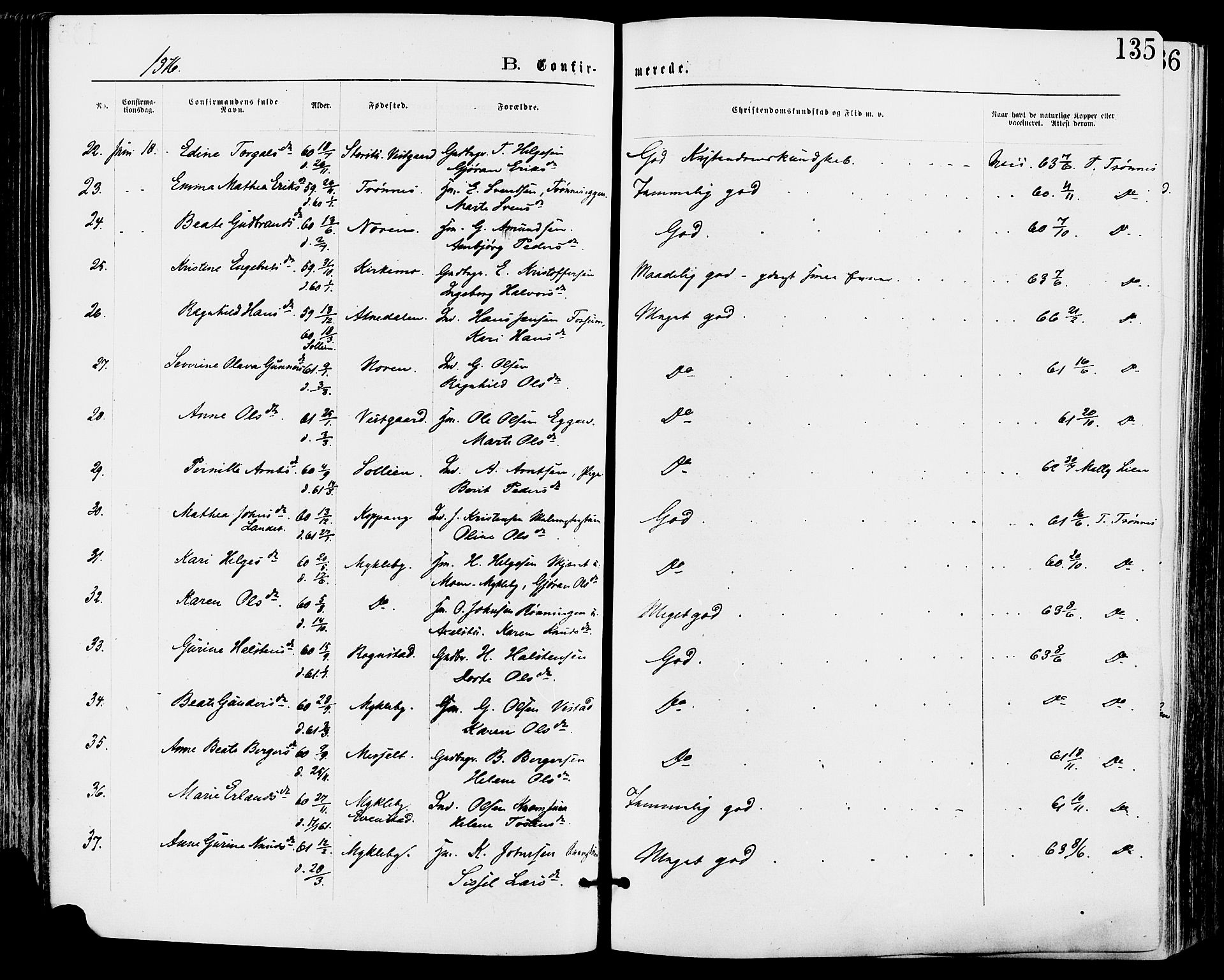 Stor-Elvdal prestekontor, SAH/PREST-052/H/Ha/Haa/L0001: Parish register (official) no. 1, 1871-1882, p. 135