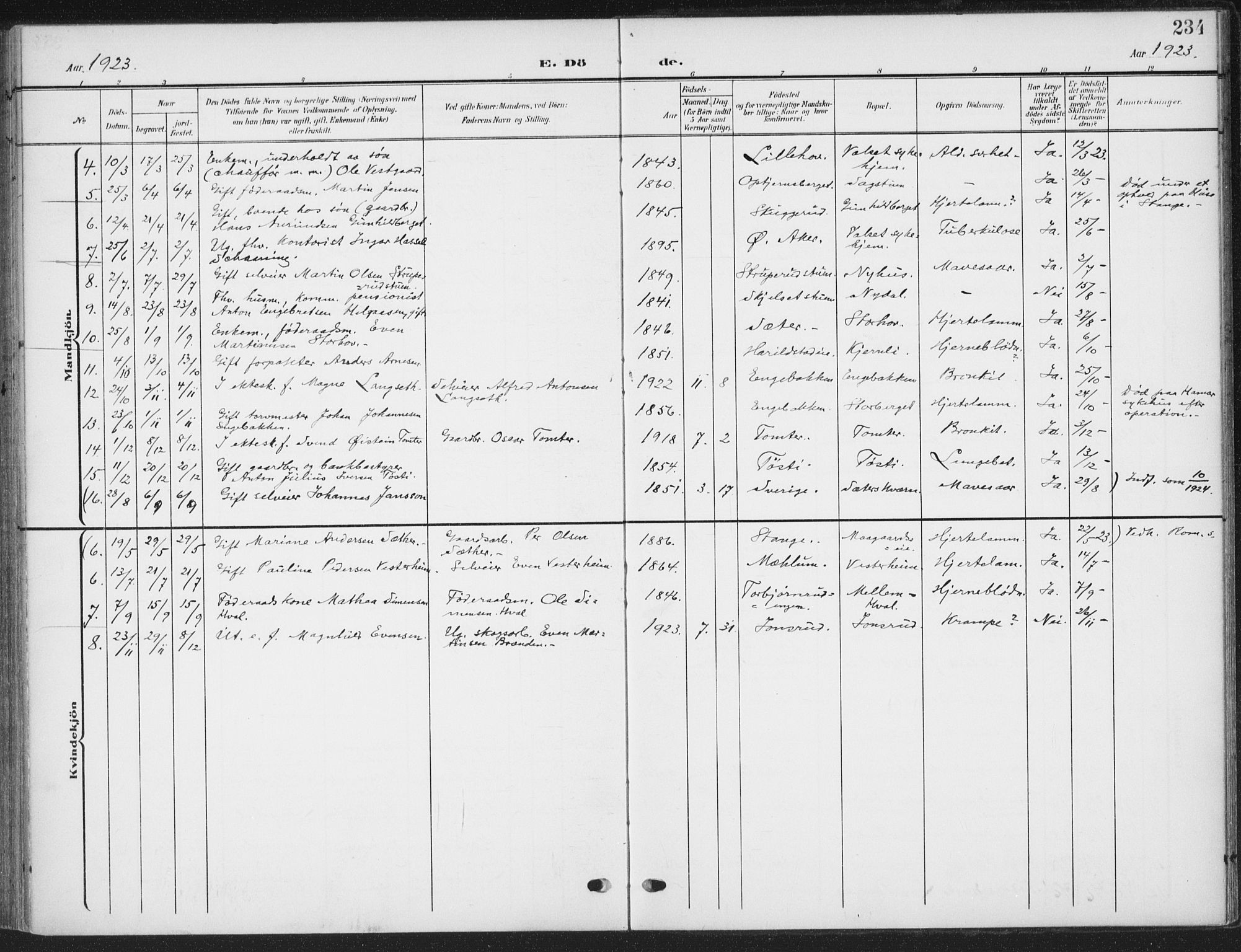 Romedal prestekontor, AV/SAH-PREST-004/K/L0009: Parish register (official) no. 9, 1906-1929, p. 234