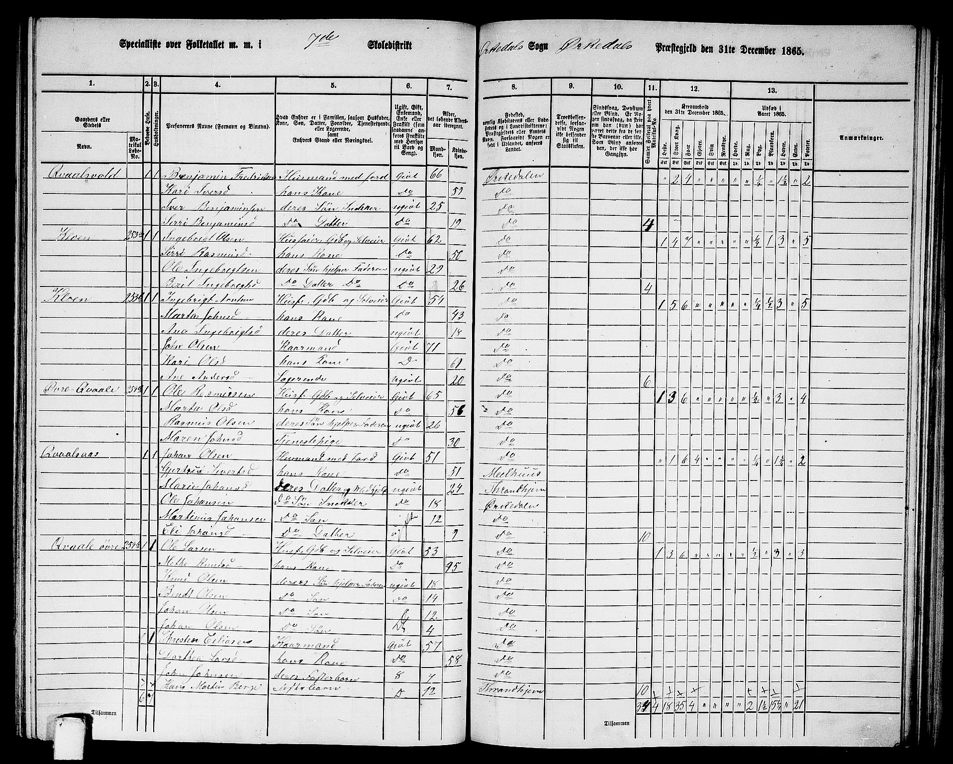 RA, 1865 census for Orkdal, 1865, p. 199