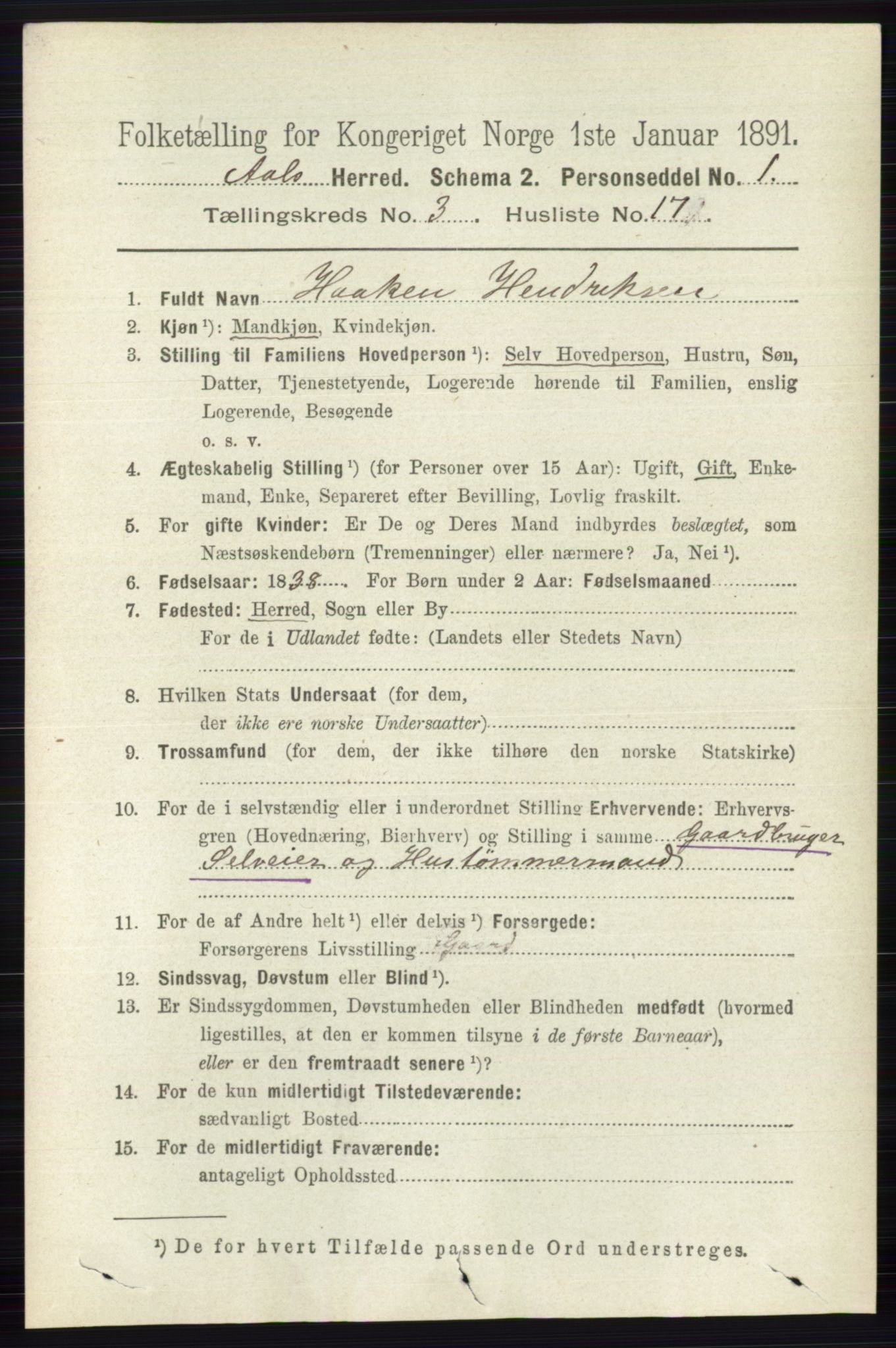 RA, 1891 census for 0619 Ål, 1891, p. 753